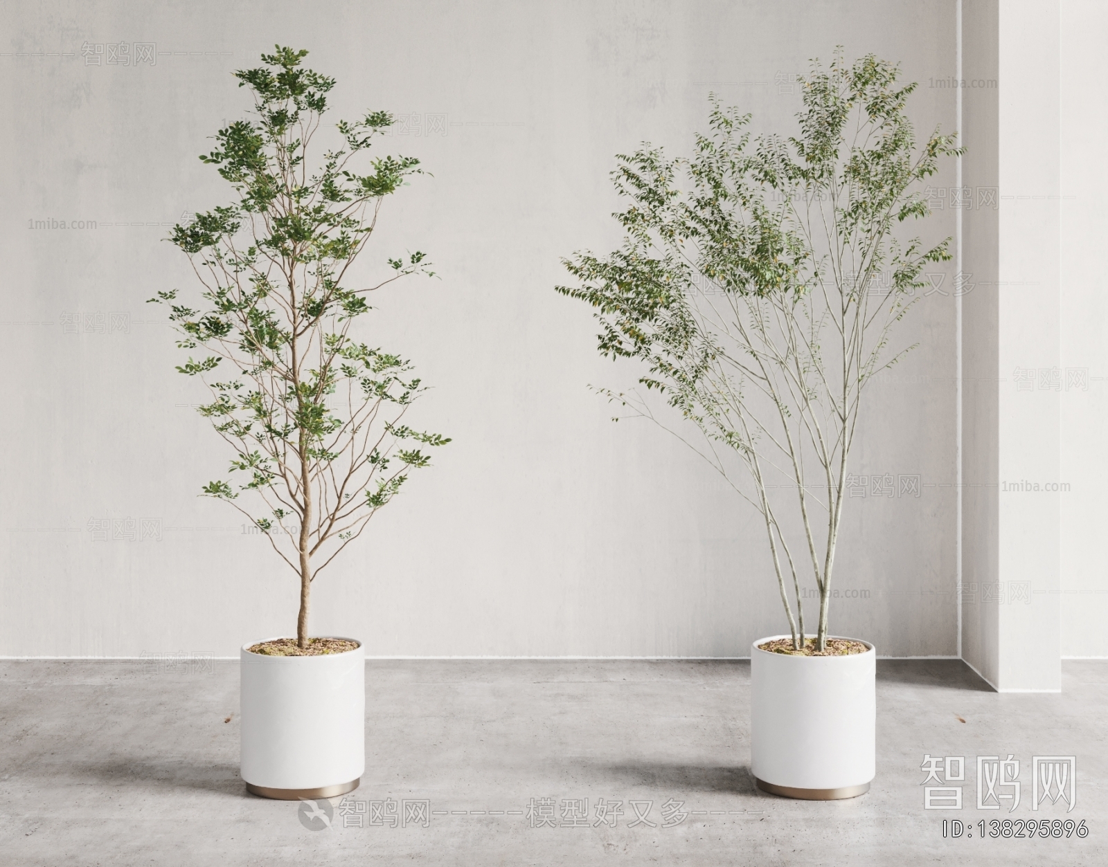 Modern Ground Green Plant Potted Plants