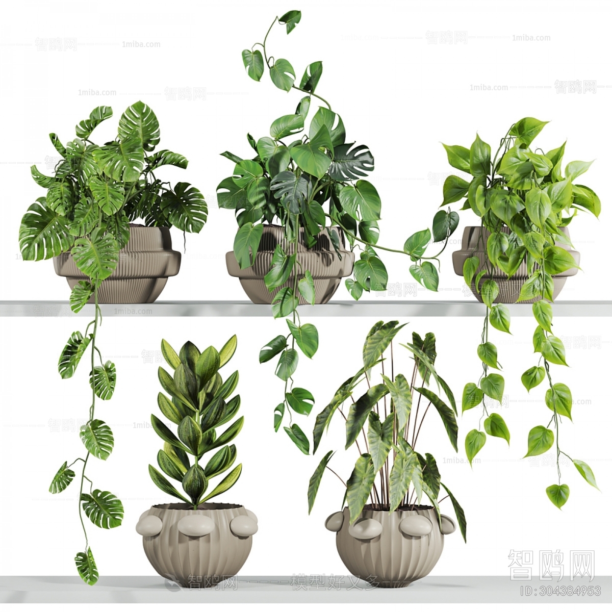 Modern Potted Green Plant