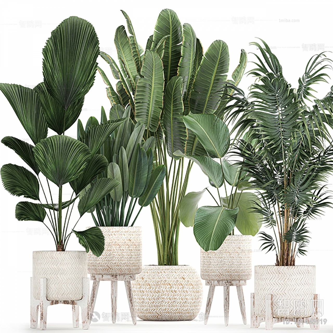 Modern Ground Green Plant Potted Plants