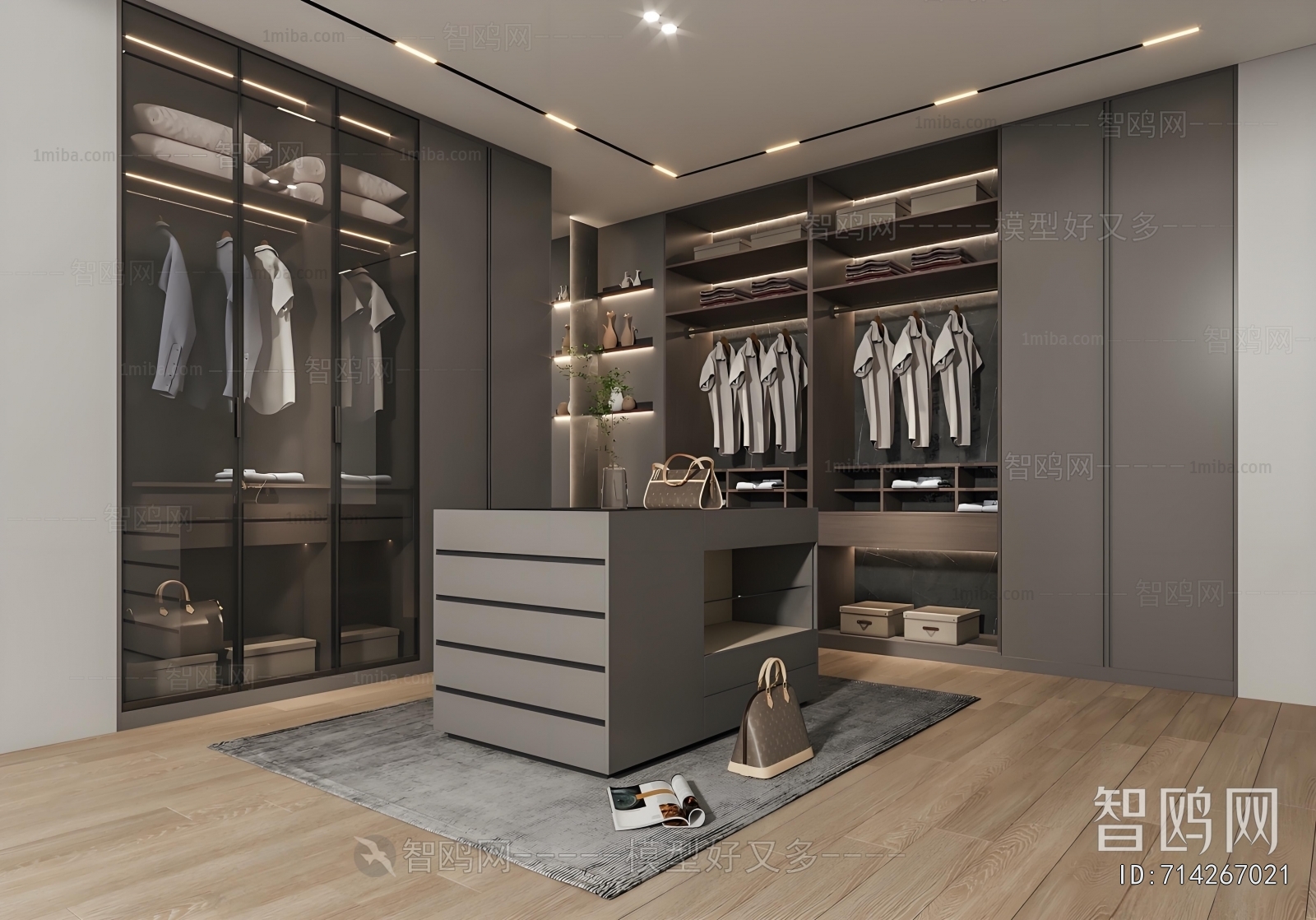 Modern Clothes Storage Area
