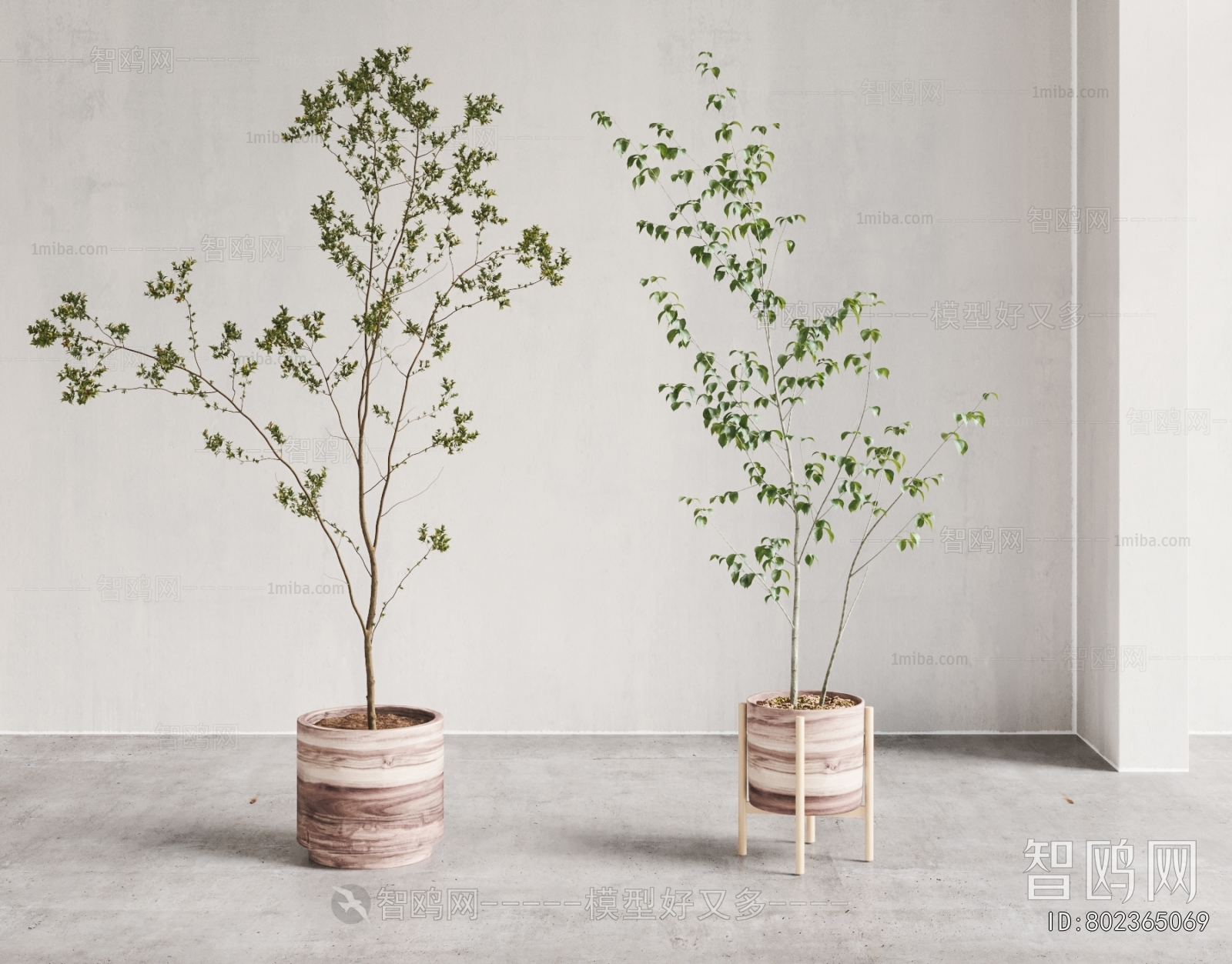 Modern Ground Green Plant Potted Plants