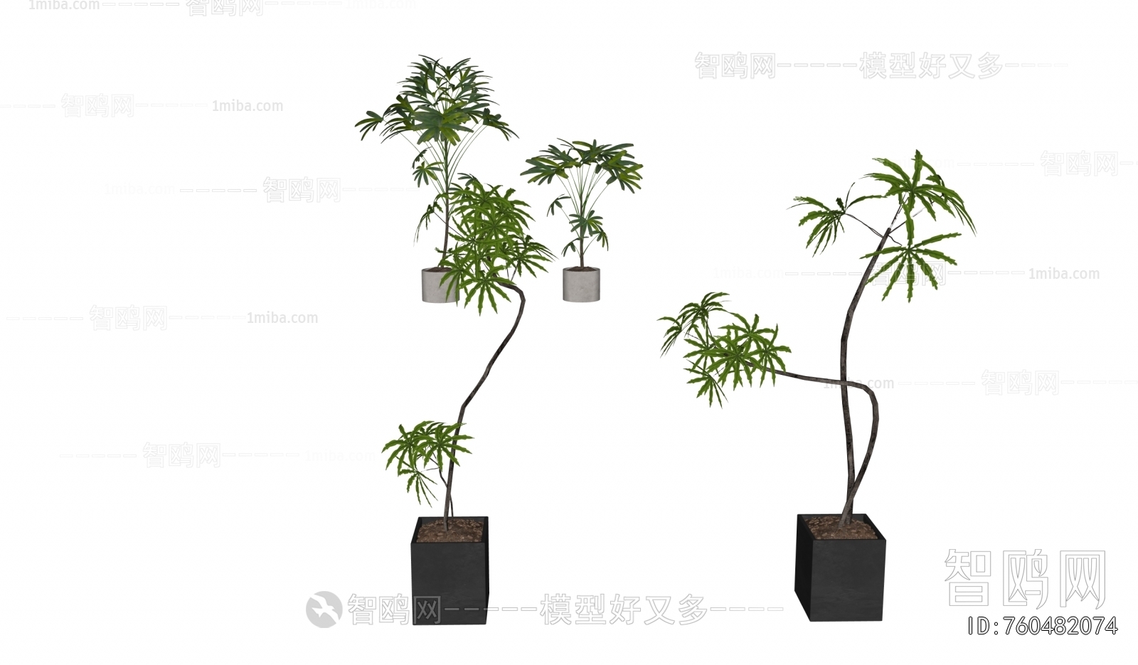 Modern Ground Green Plant Potted Plants