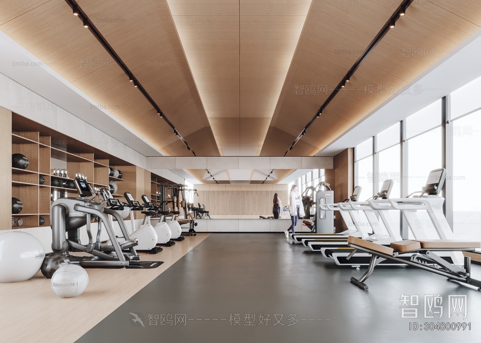Modern Gym