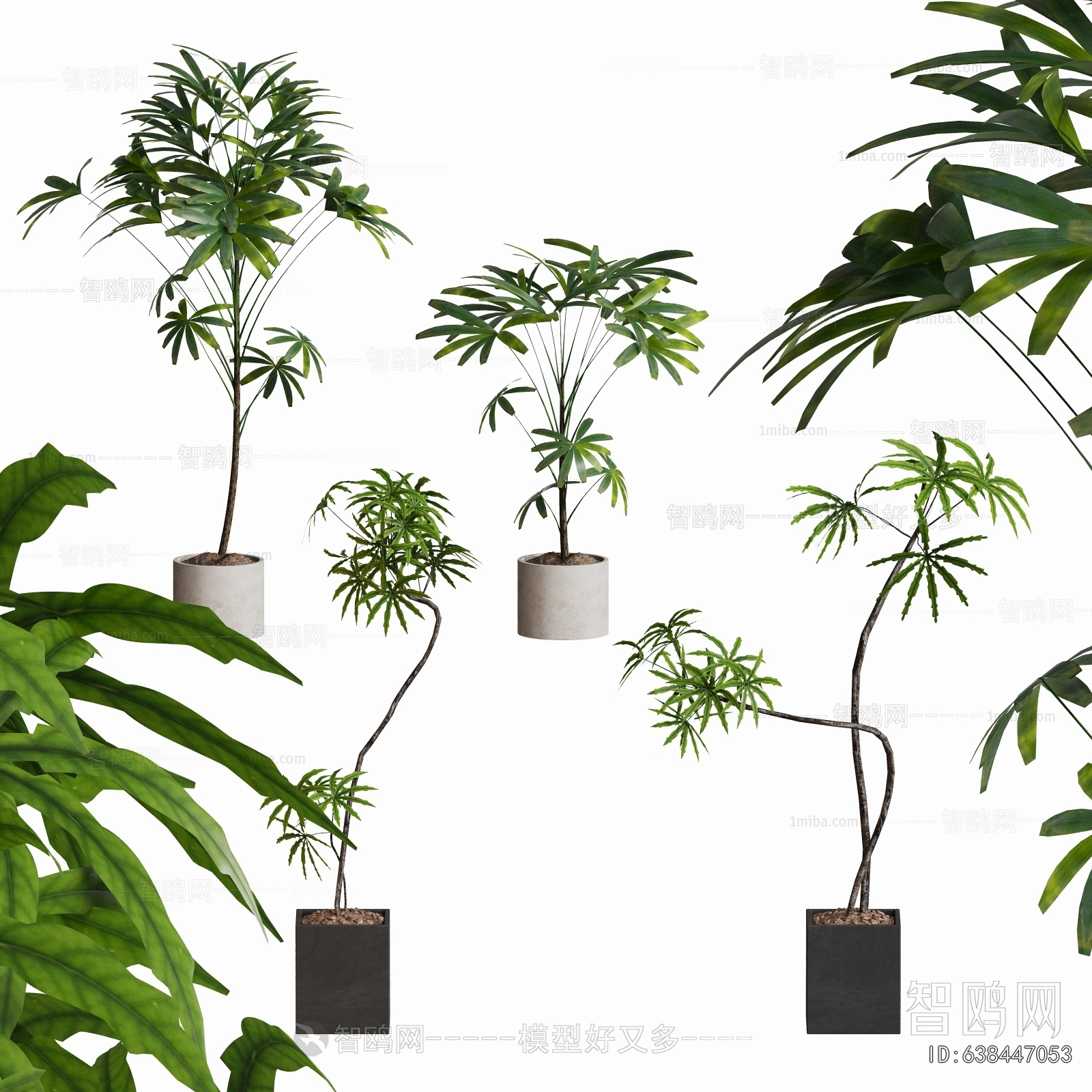Modern Ground Green Plant Potted Plants