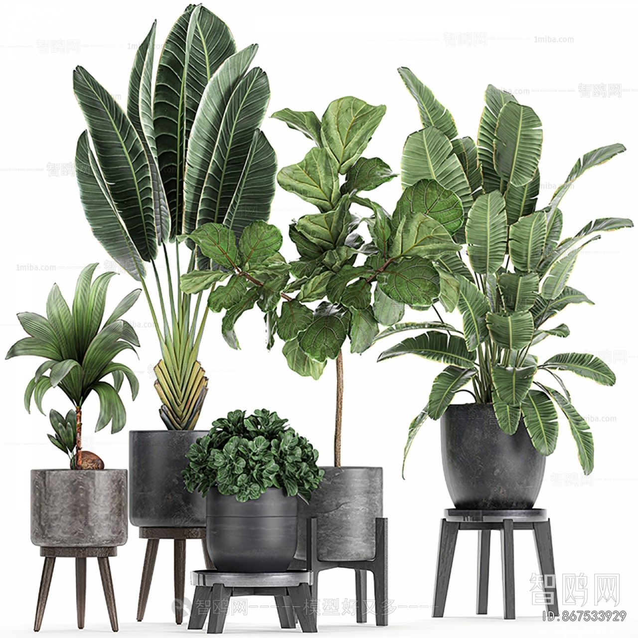 Modern Ground Green Plant Potted Plants