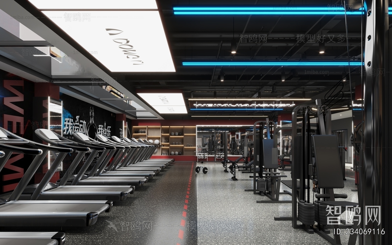 Modern Gym