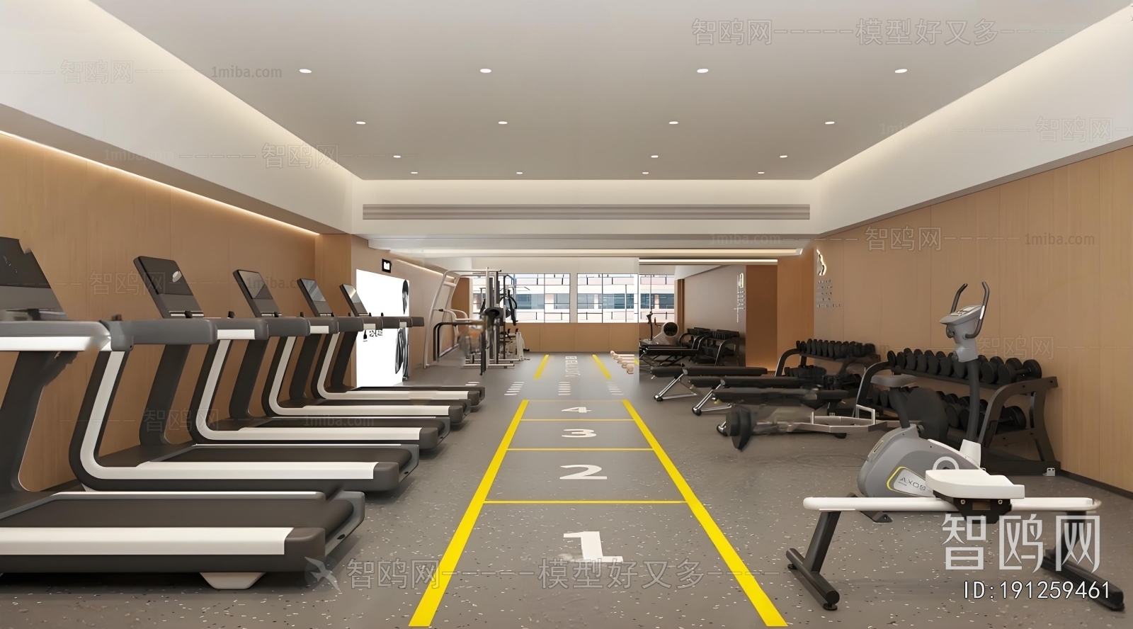 Modern Gym