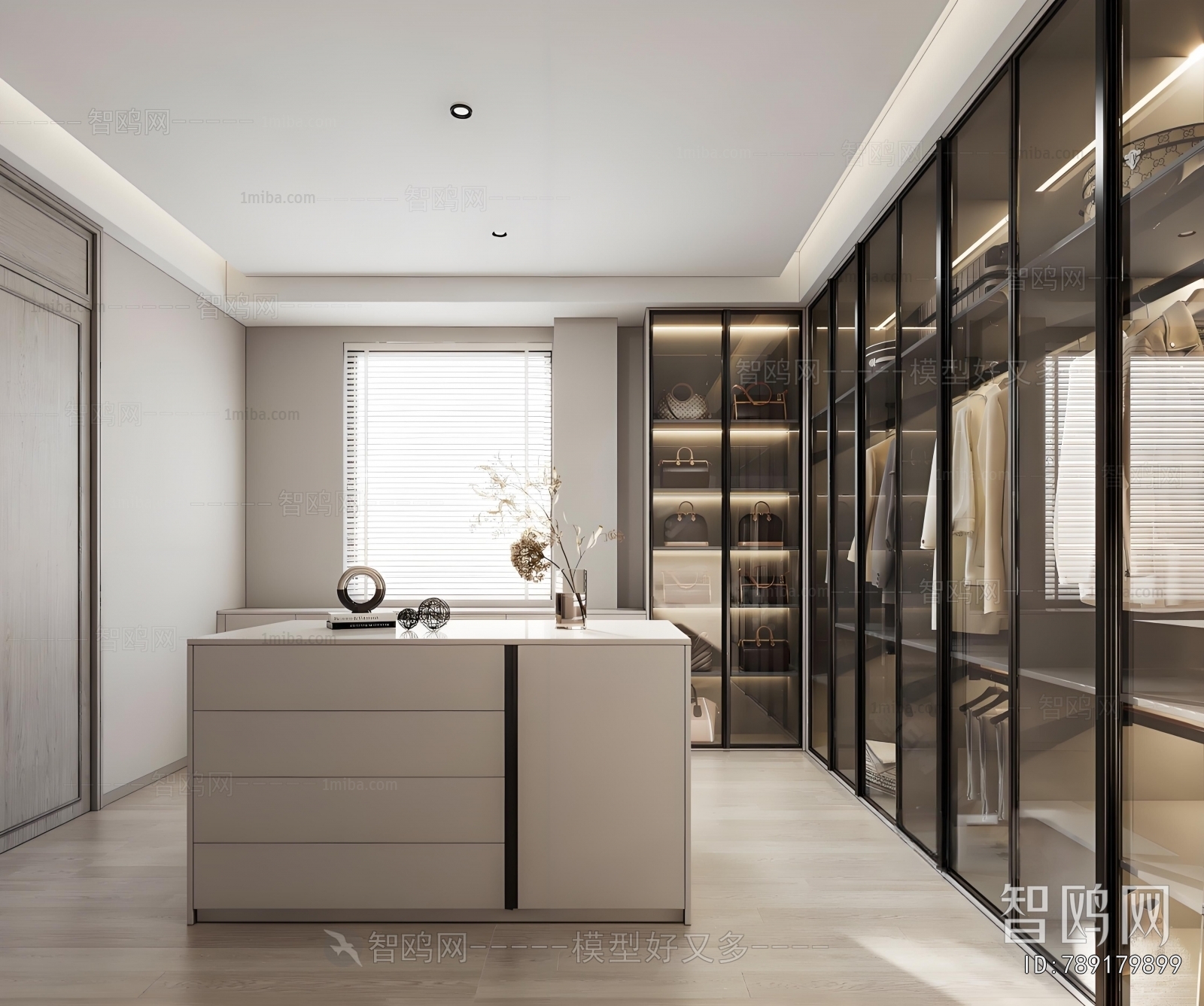 Modern Clothes Storage Area