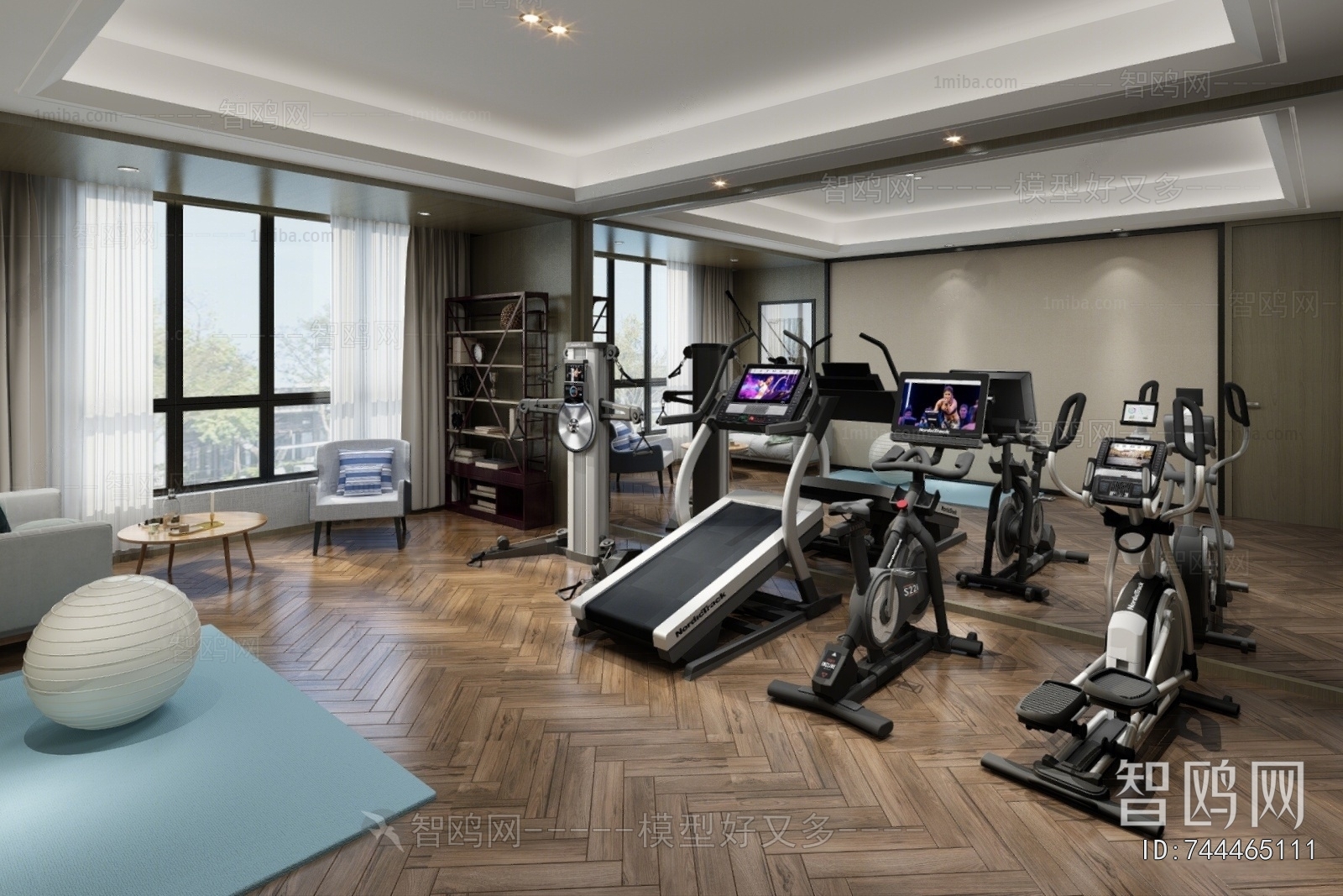Modern Home Fitness Room