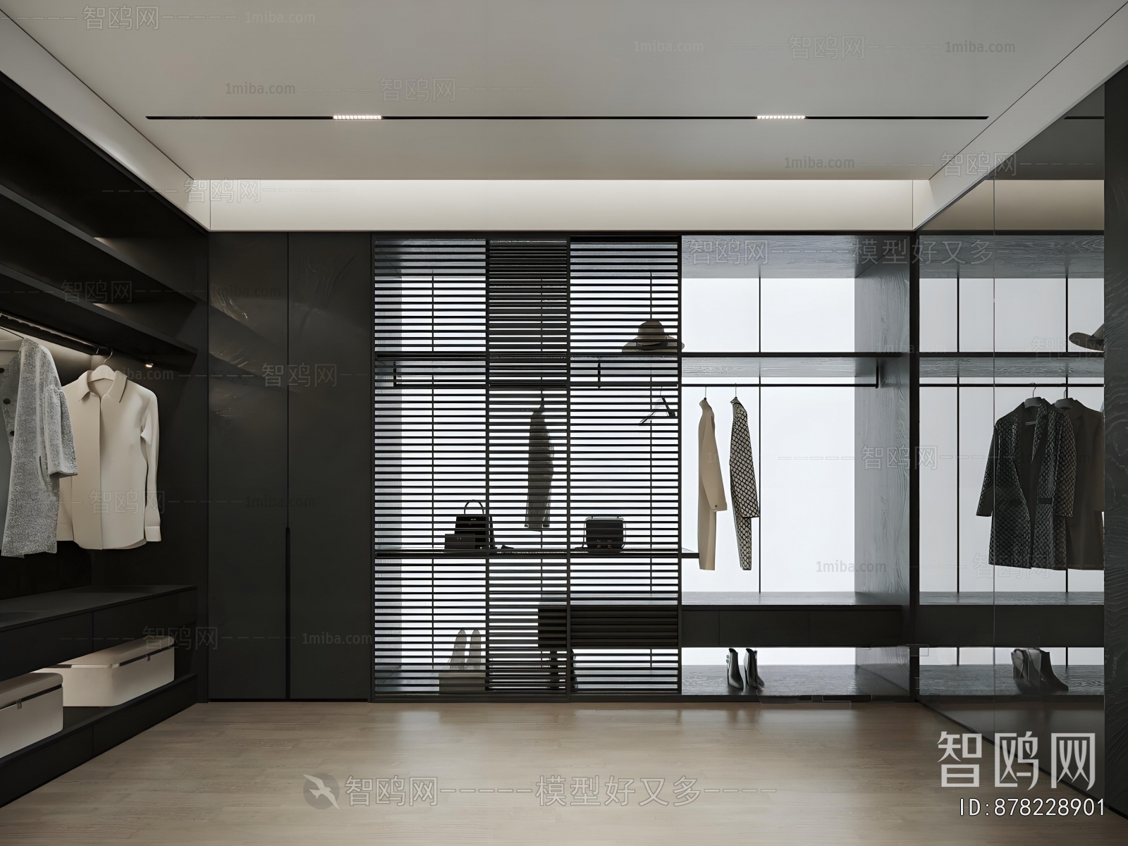 Modern Clothes Storage Area
