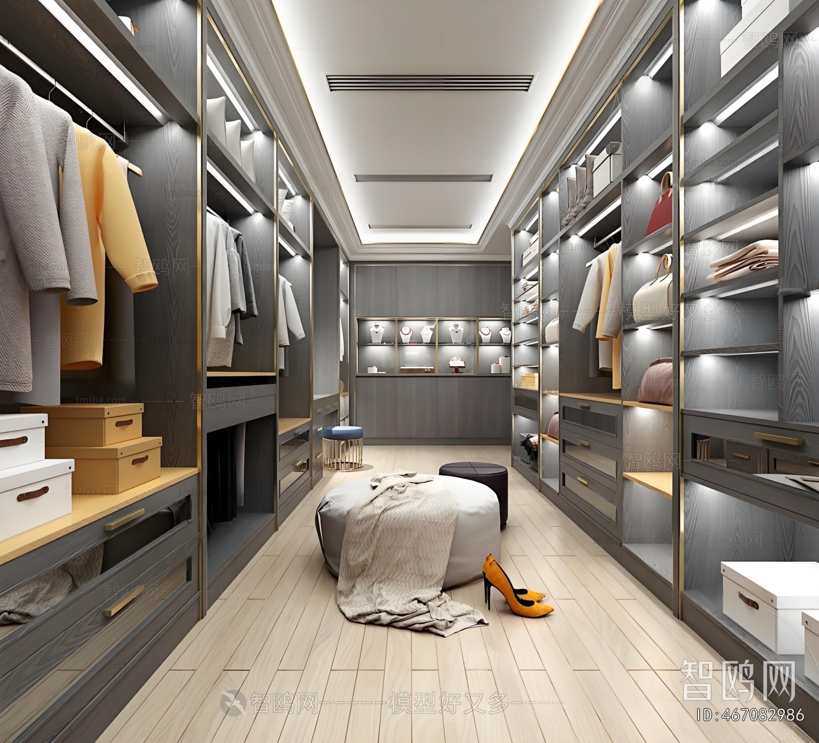 Modern Clothes Storage Area