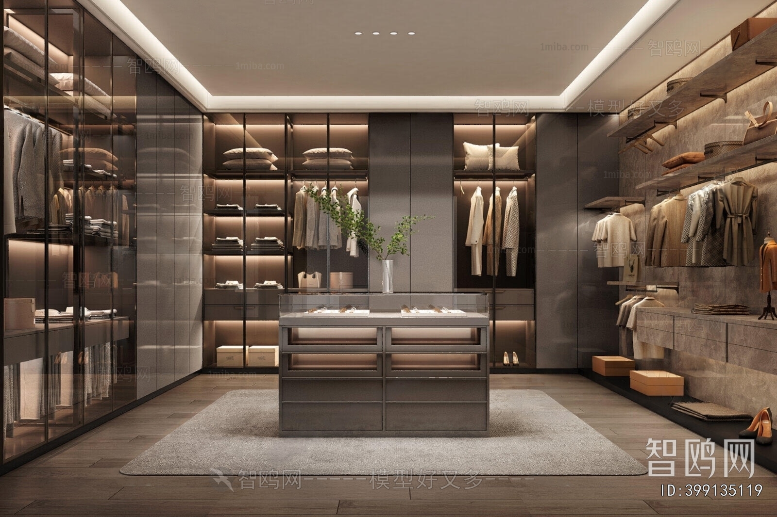 Modern Clothes Storage Area