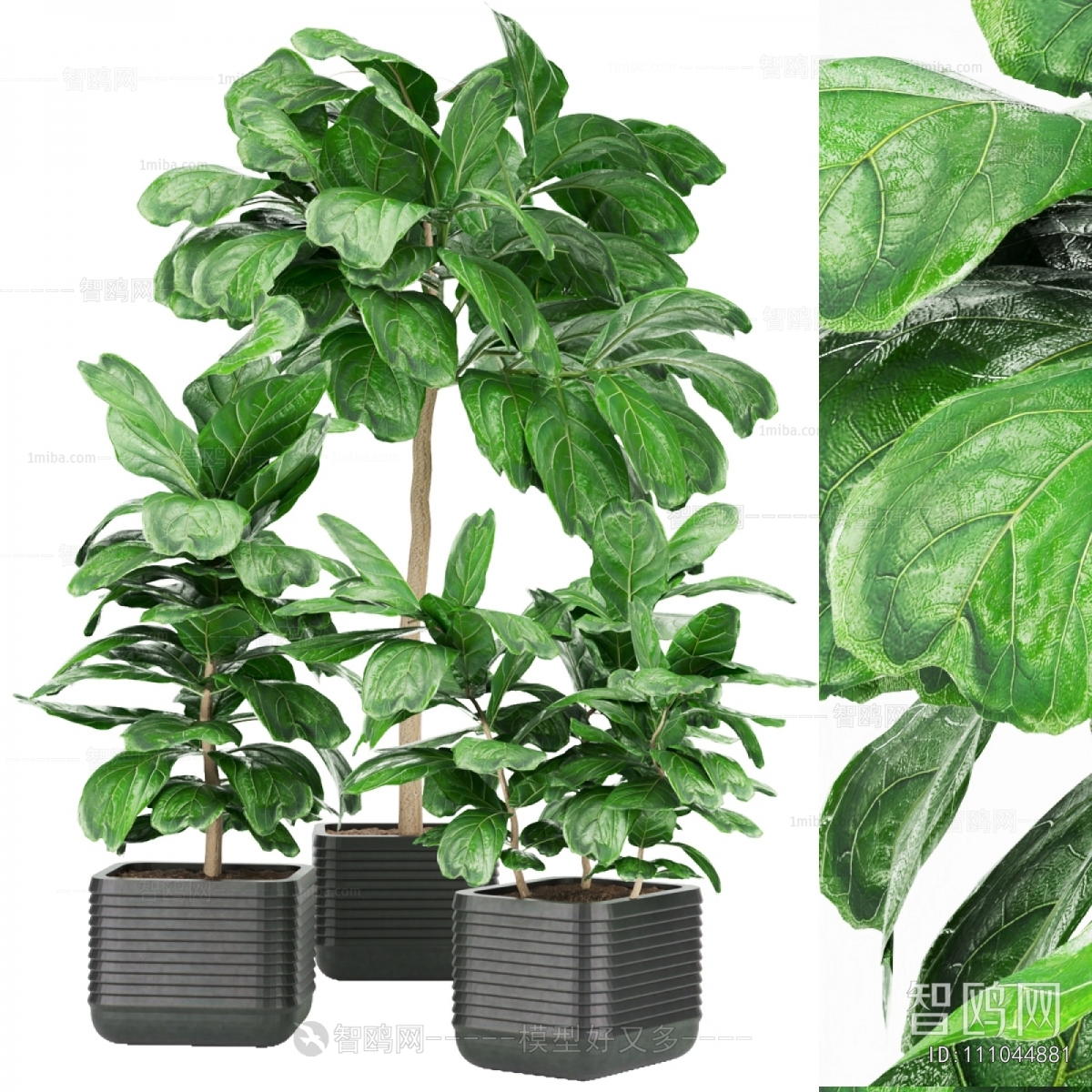 Modern Ground Green Plant Potted Plants
