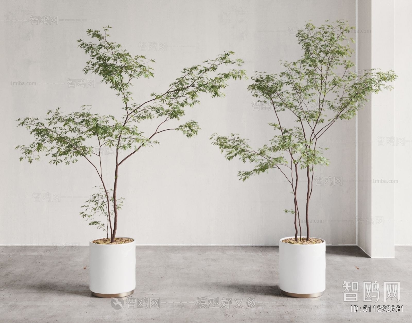 Modern Ground Green Plant Potted Plants