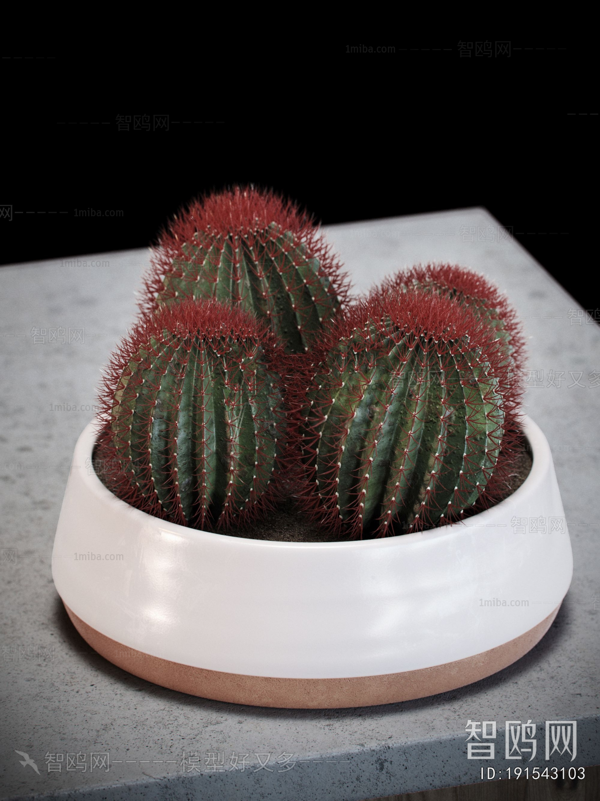 Modern Desktop Plant