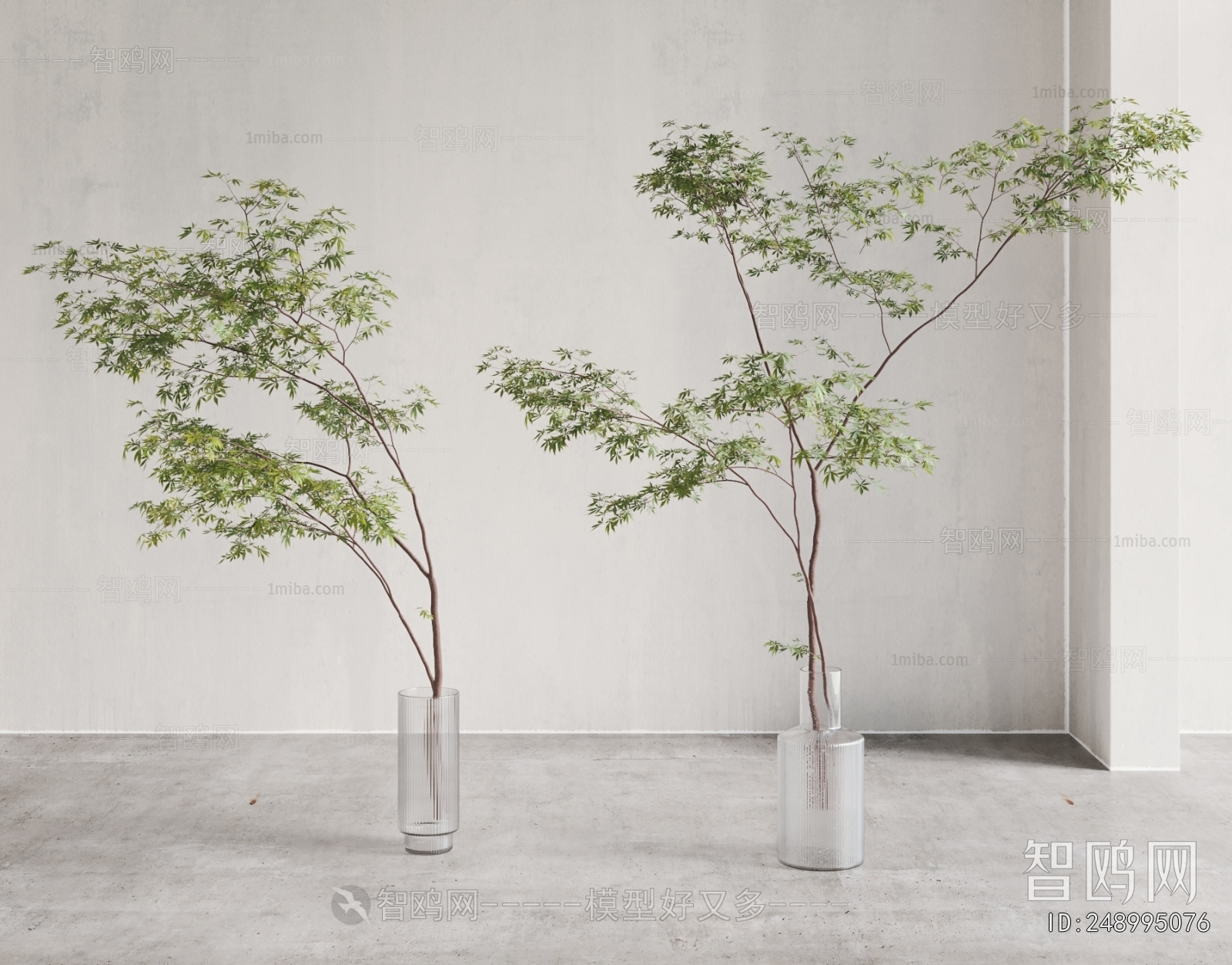 Modern Ground Green Plant Potted Plants