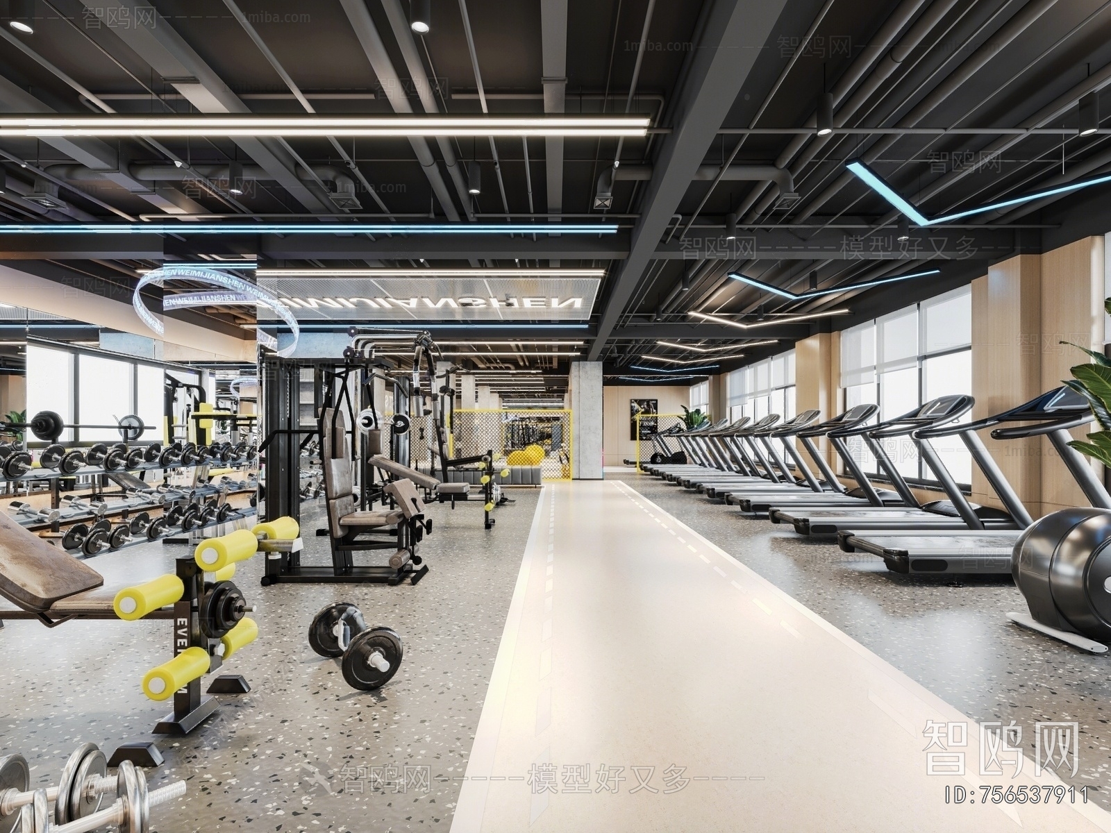 Industrial Style Gym