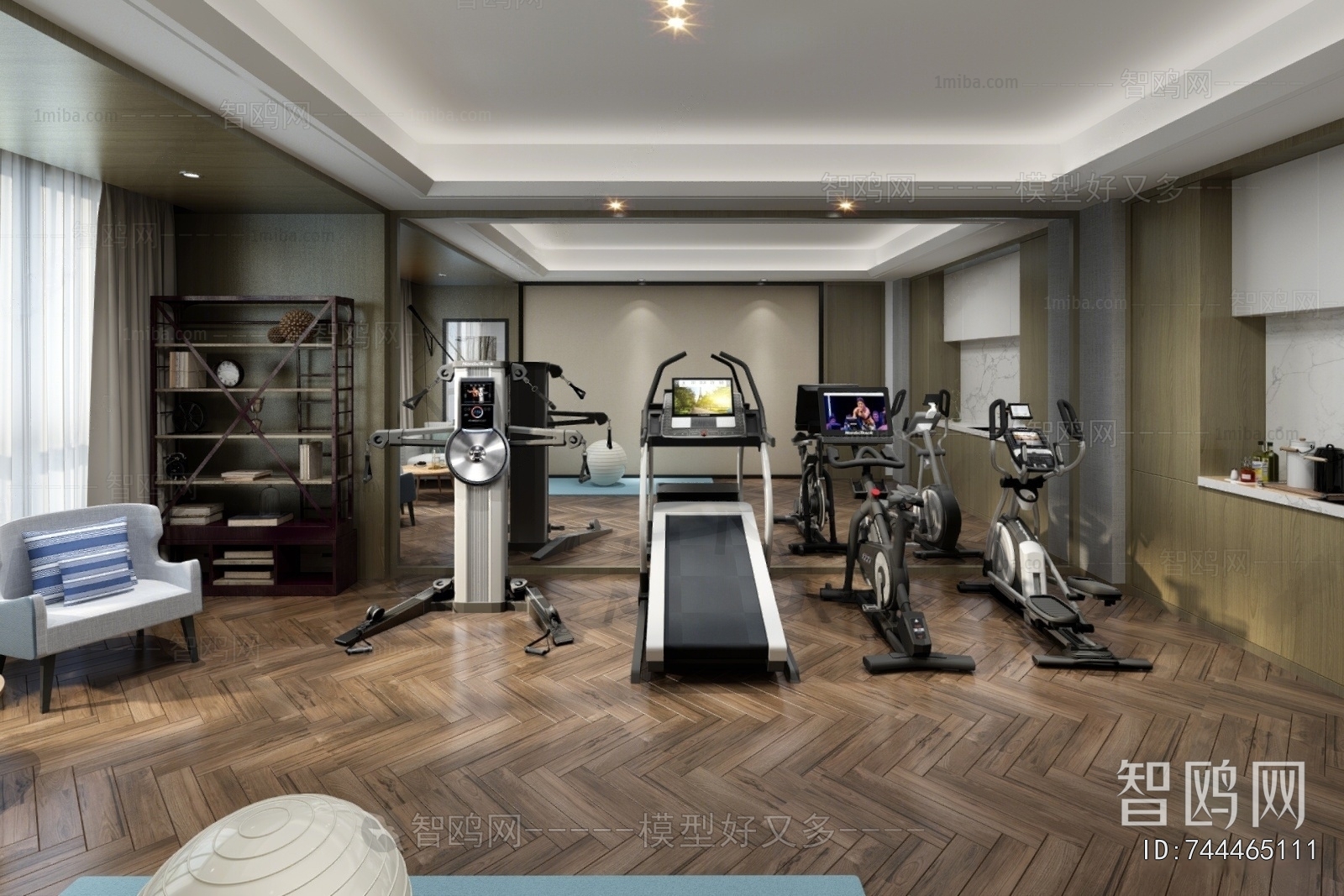Modern Home Fitness Room