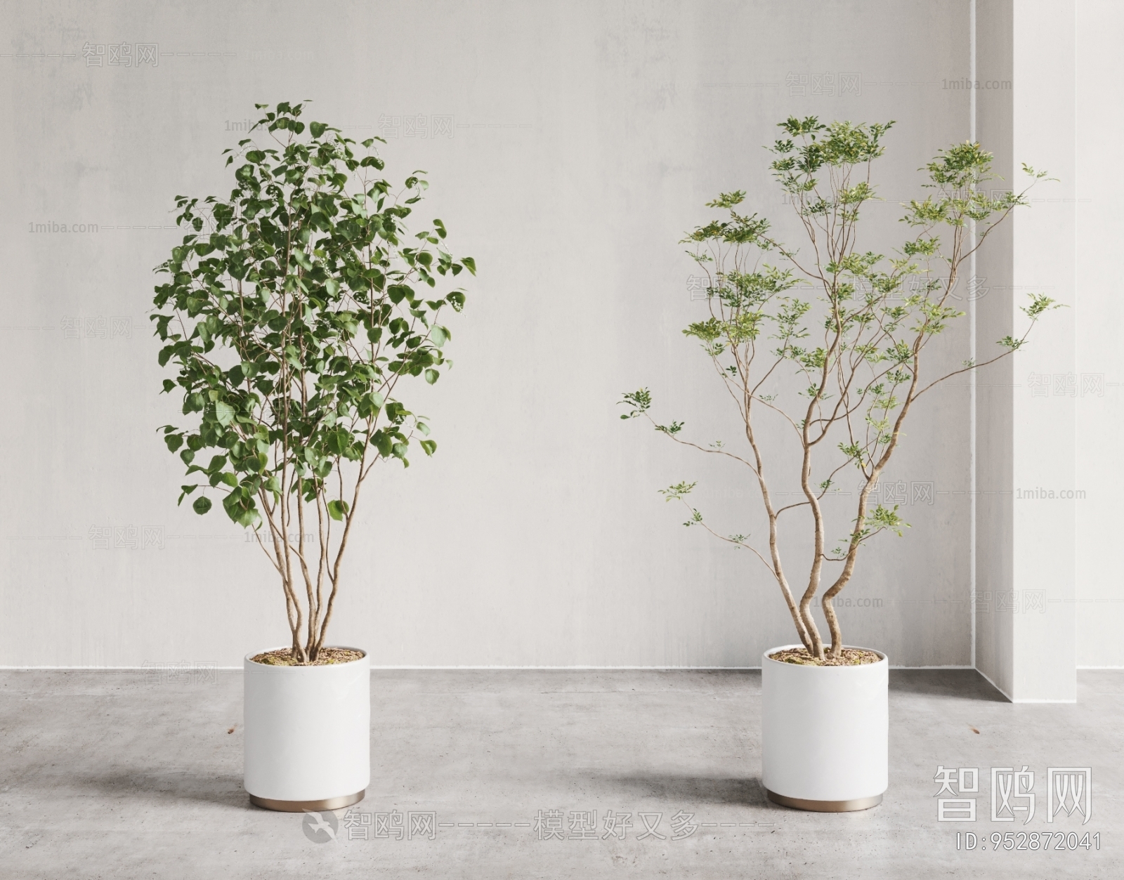 Modern Ground Green Plant Potted Plants