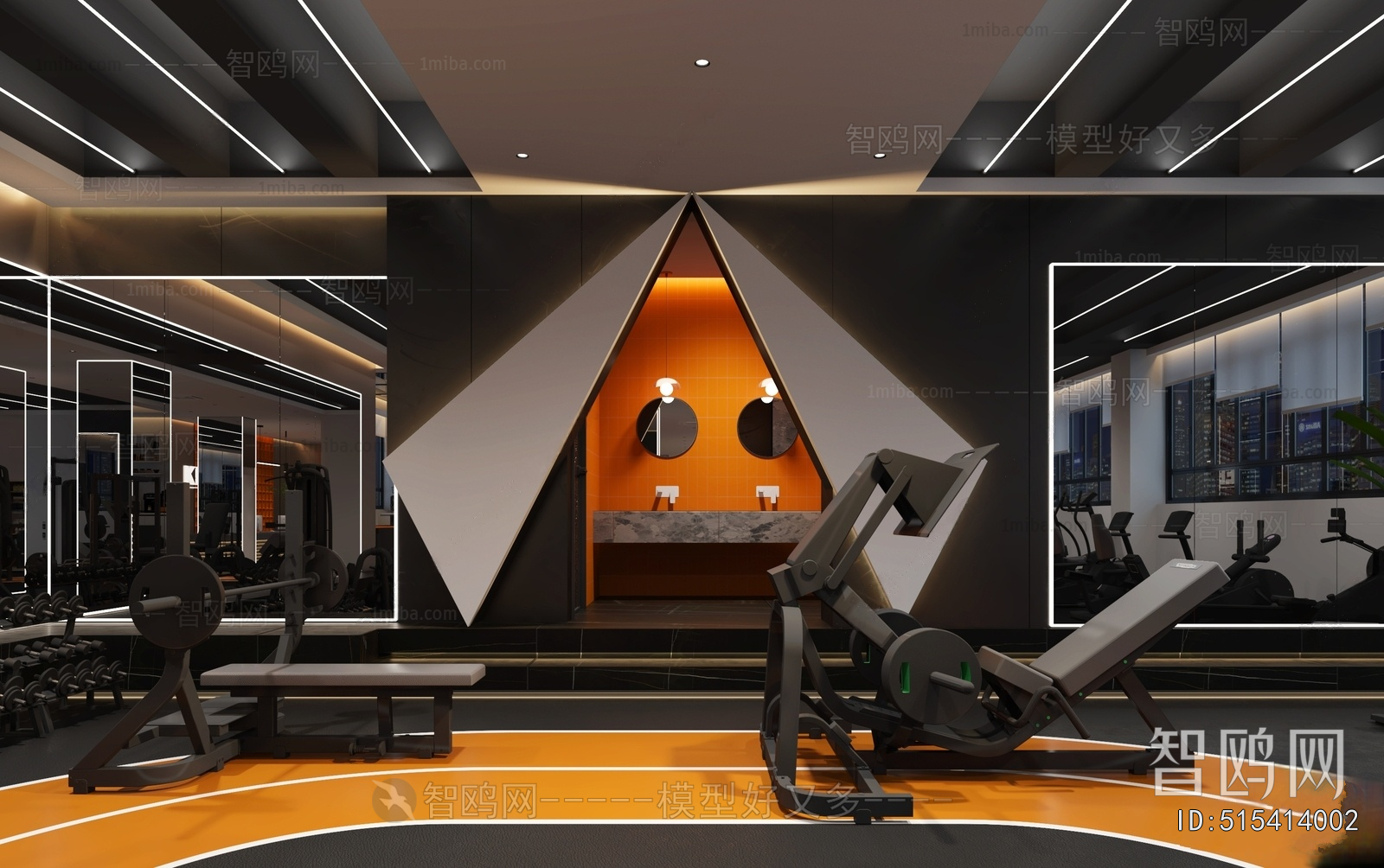 Modern Gym