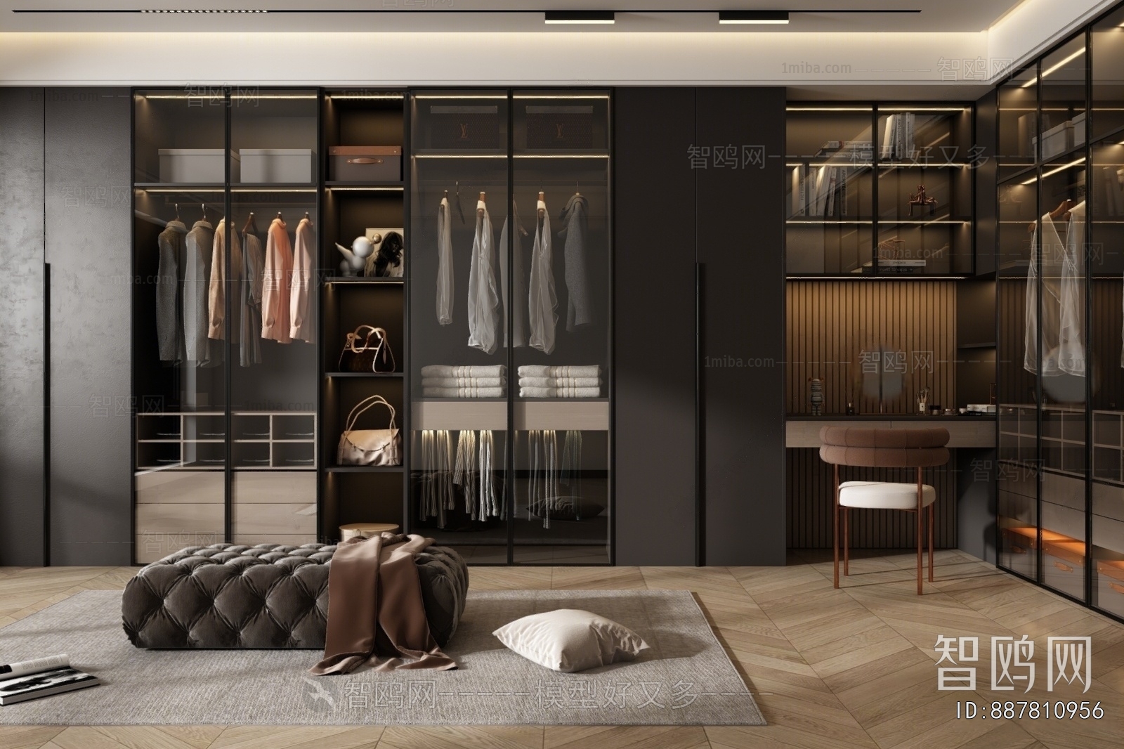 Modern Clothes Storage Area