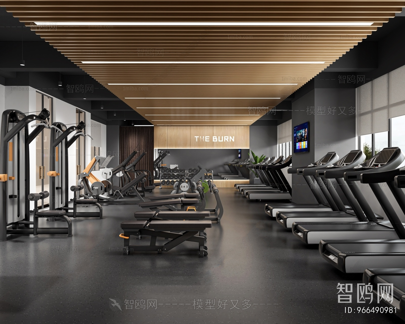 Modern Gym