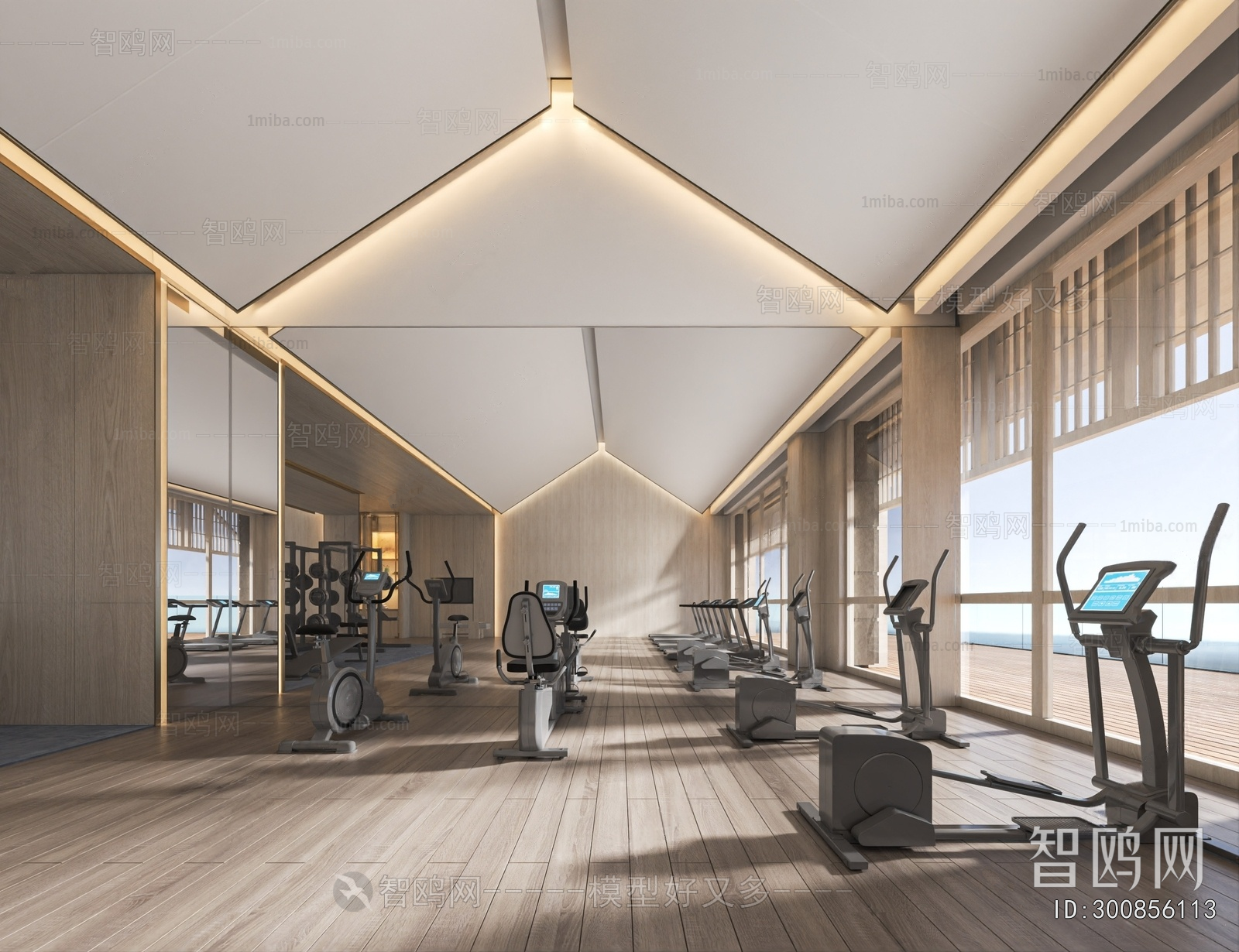 Modern Gym