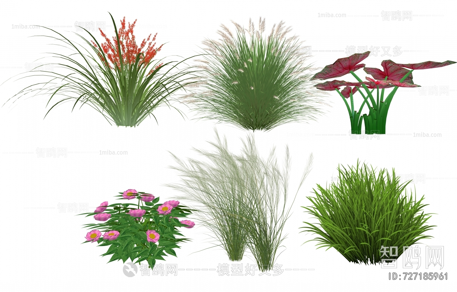 Modern Flowers And Grass