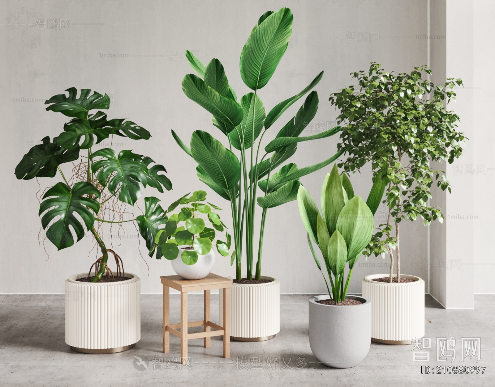 Modern Ground Green Plant Potted Plants