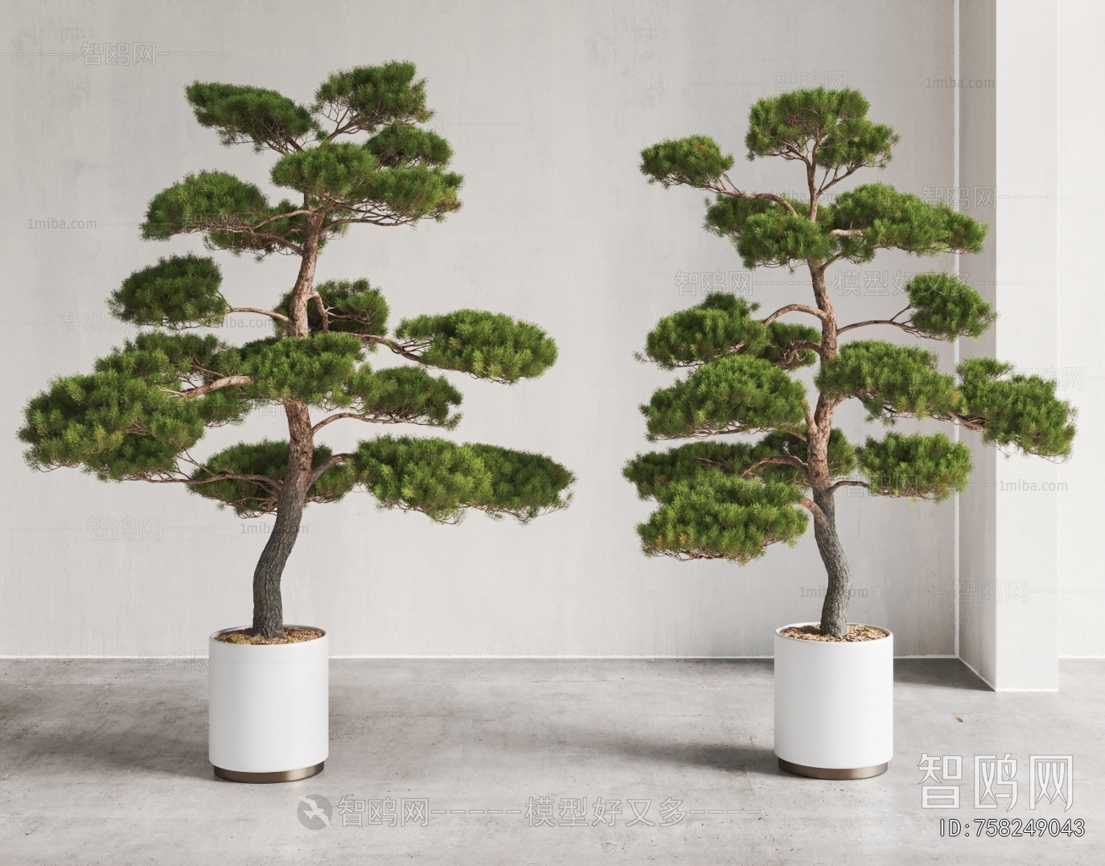 New Chinese Style Ground Green Plant Potted Plants