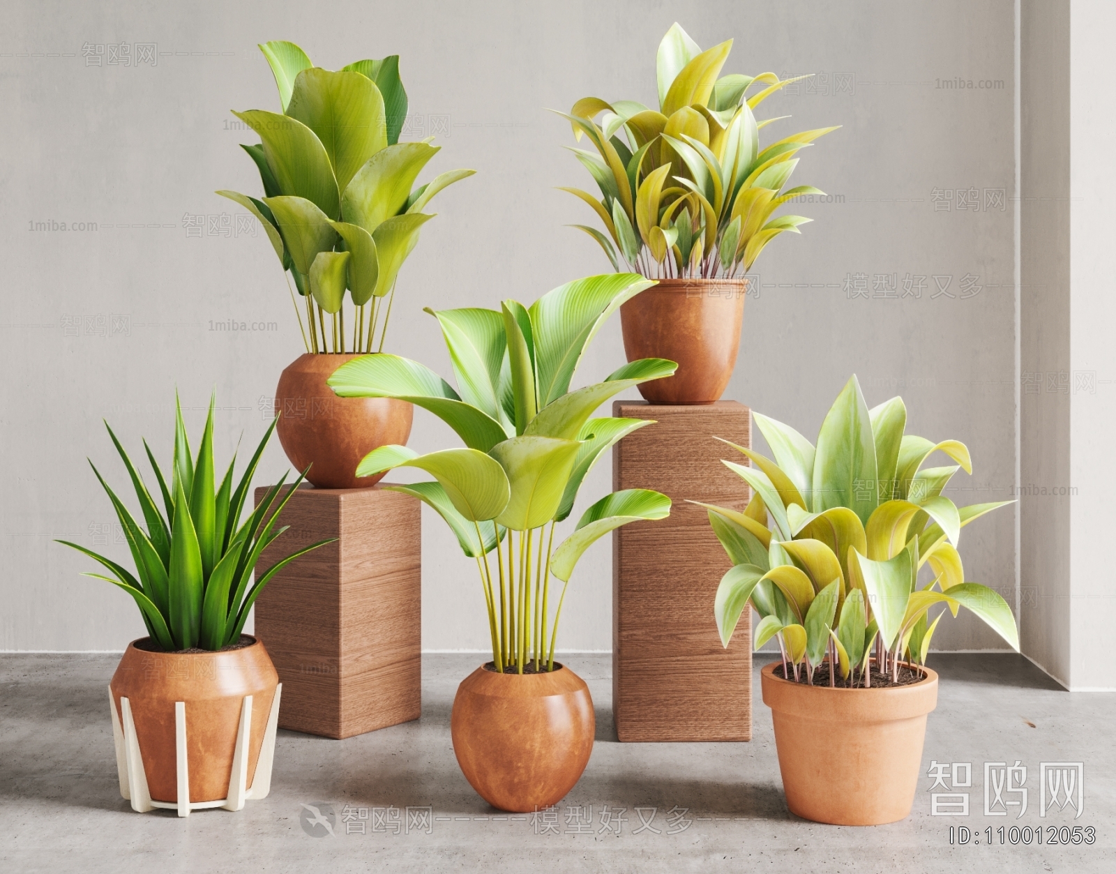 Modern Ground Green Plant Potted Plants