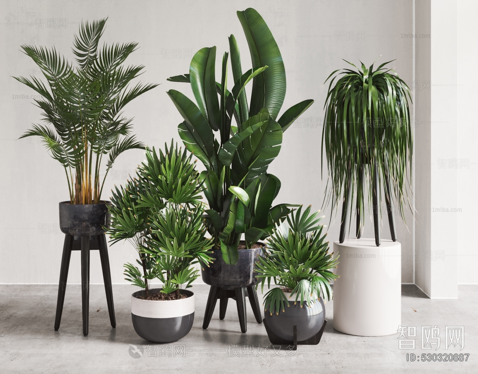 Modern Ground Green Plant Potted Plants