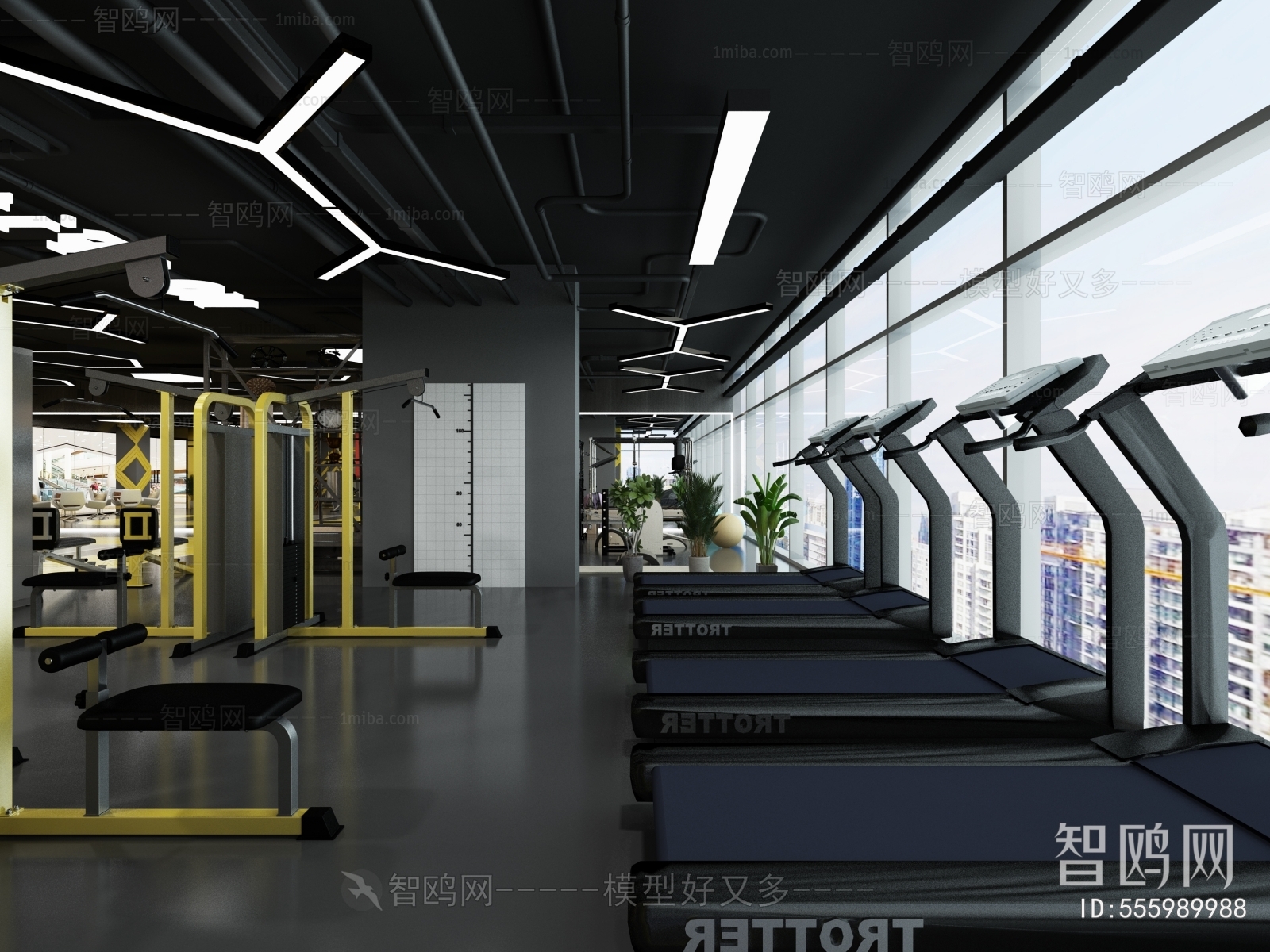 Industrial Style Gym