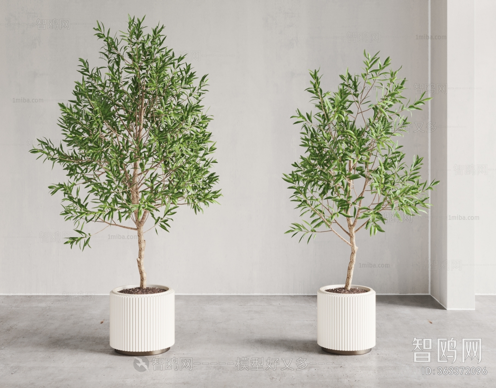 Modern Ground Green Plant Potted Plants