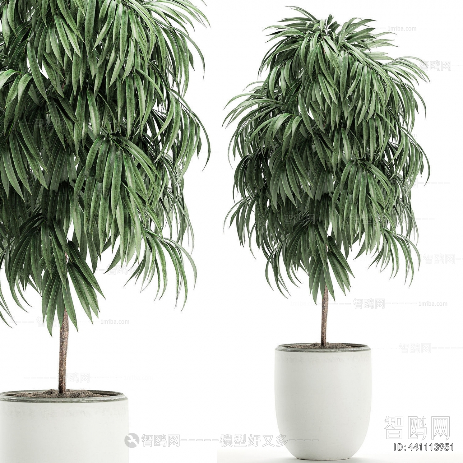 Modern Ground Green Plant Potted Plants