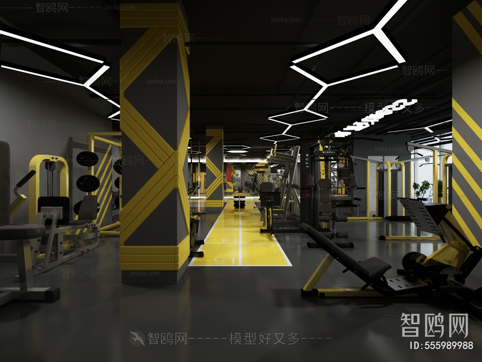 Industrial Style Gym