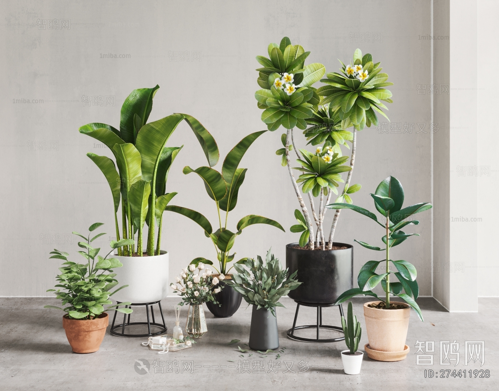 Modern Potted Green Plant