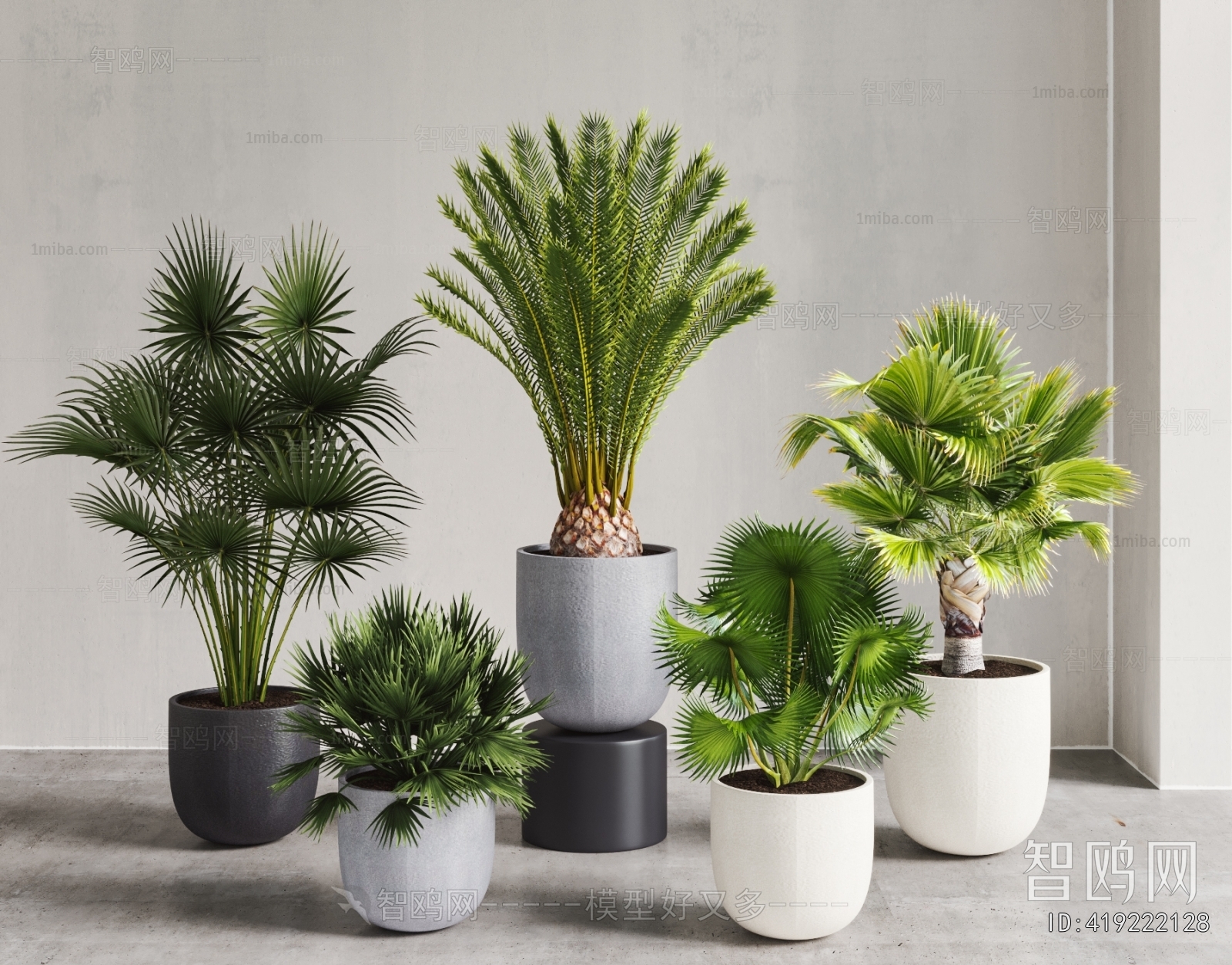Modern Ground Green Plant Potted Plants