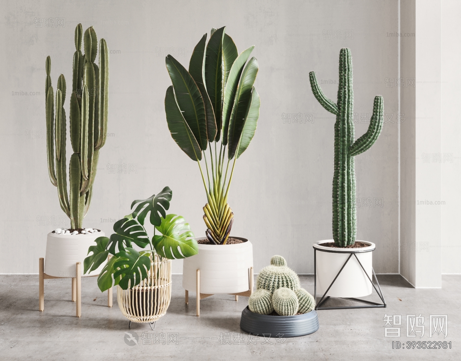 Modern Ground Green Plant Potted Plants