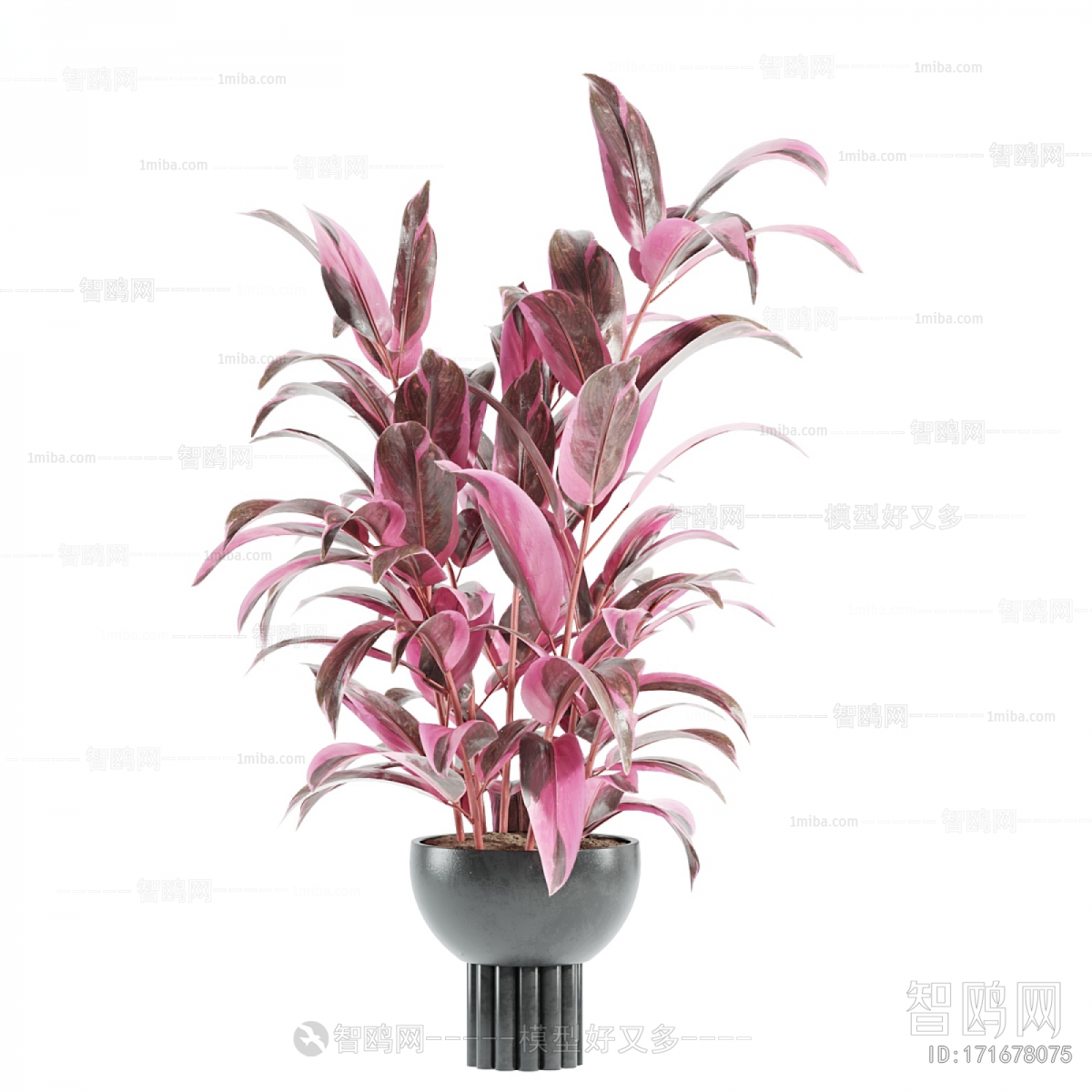 Modern Potted Green Plant