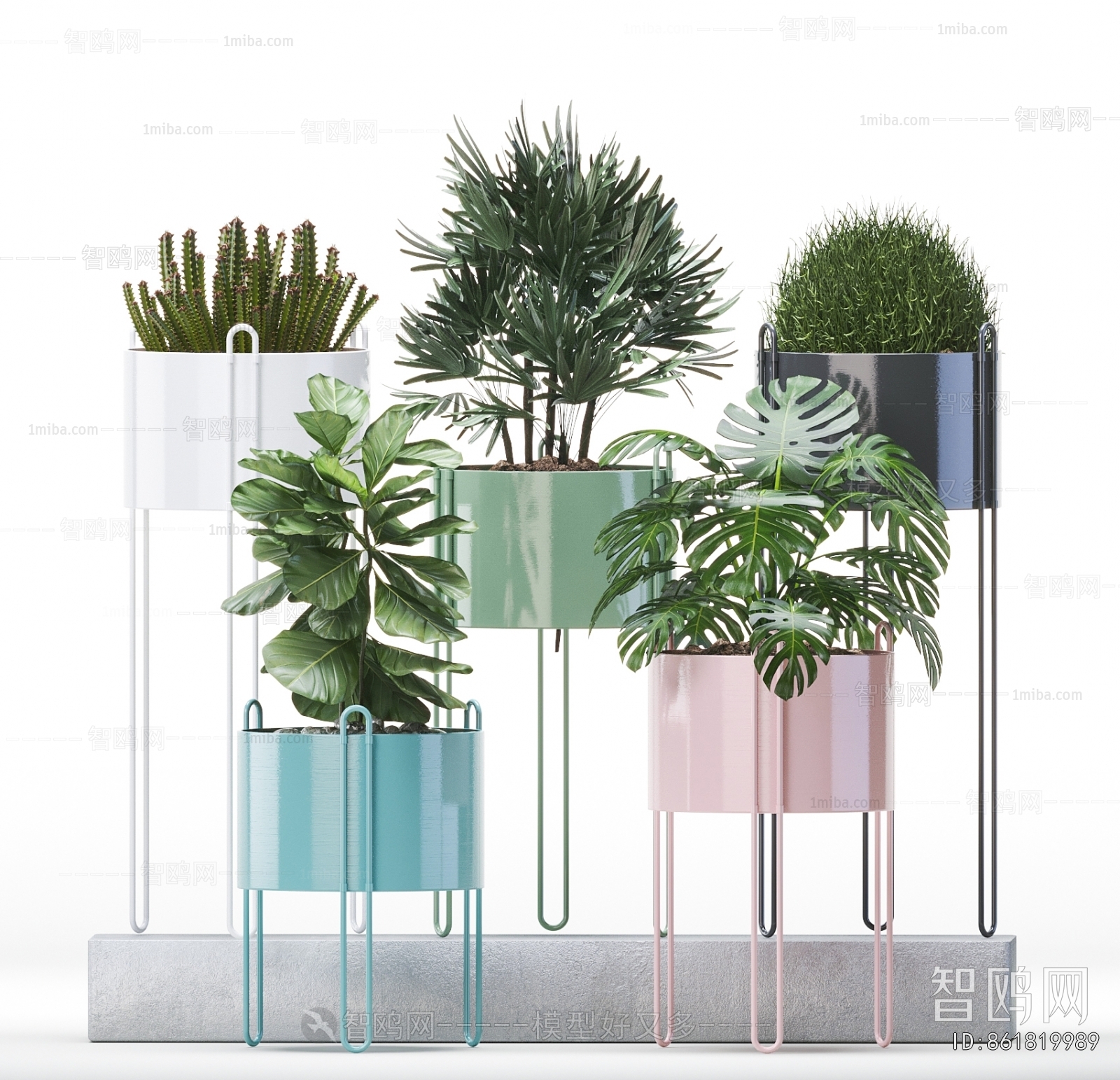Modern Potted Green Plant
