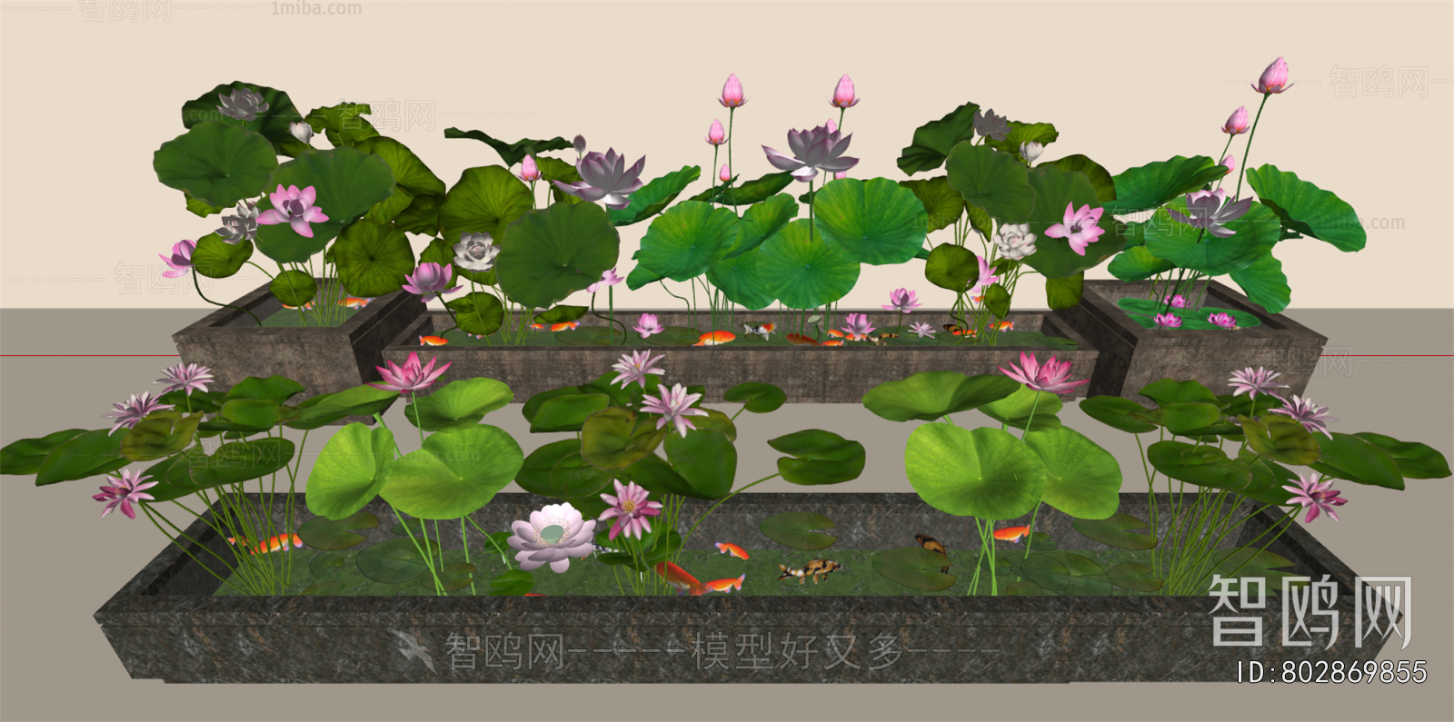 Chinese Style Garden