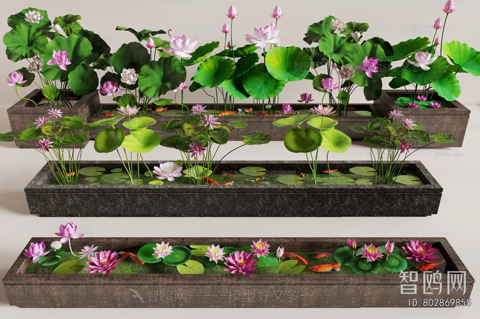 Chinese Style Garden