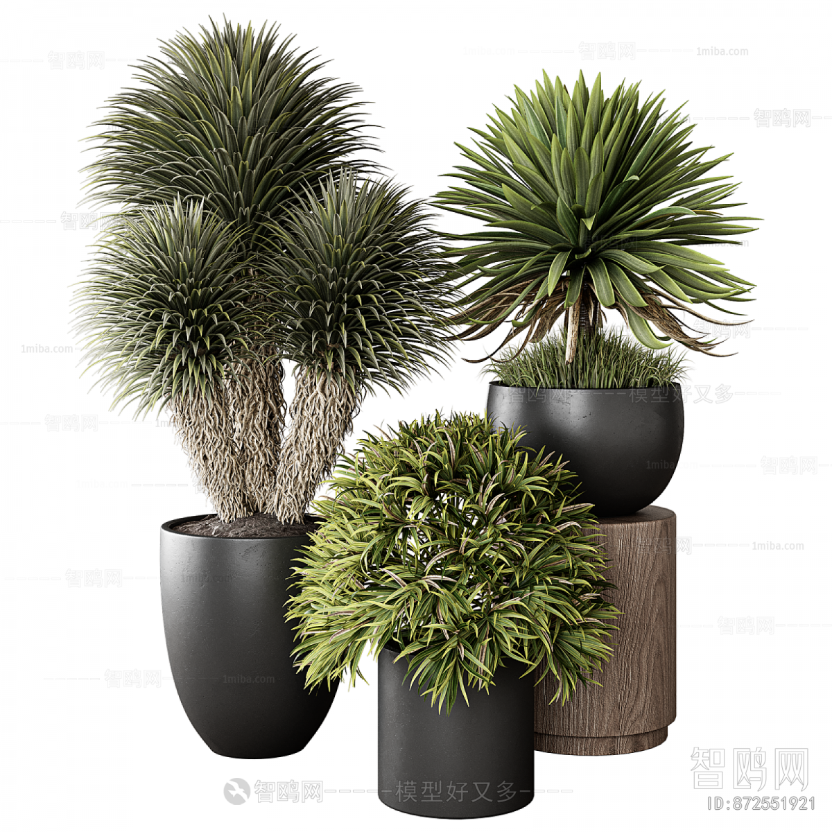 Modern Ground Green Plant Potted Plants
