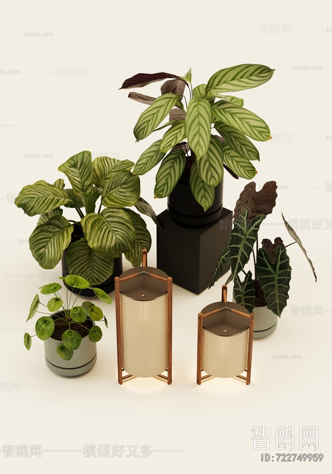 Modern Ground Green Plant Potted Plants