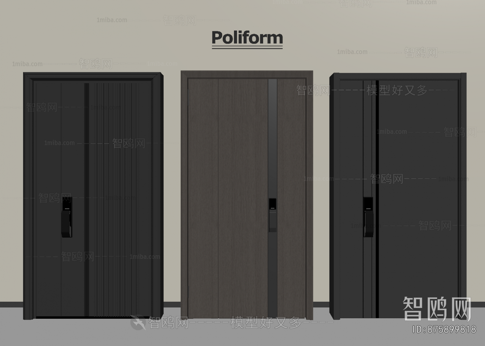 Modern Entrance Door