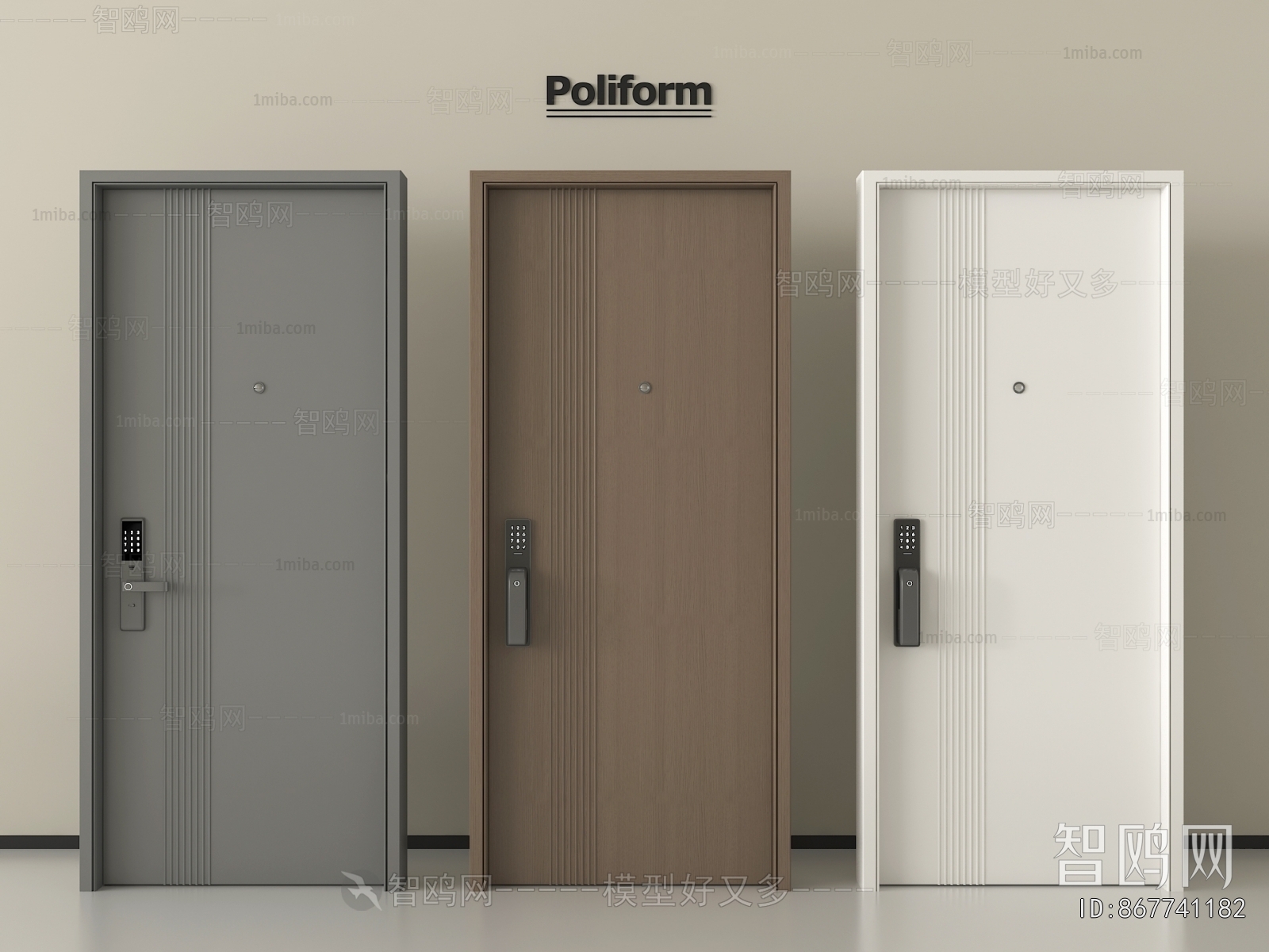 Modern Entrance Door