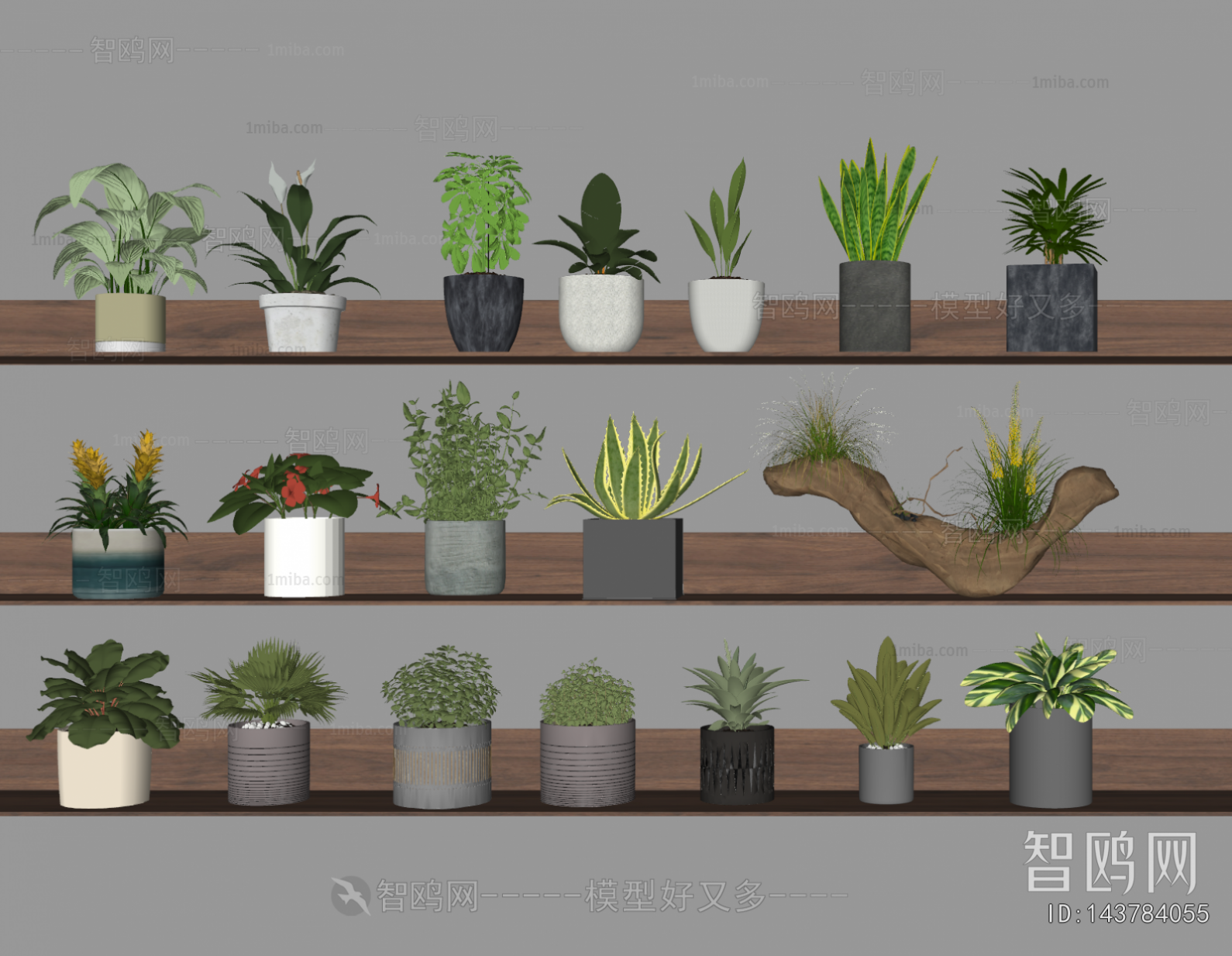 Modern Desktop Plant