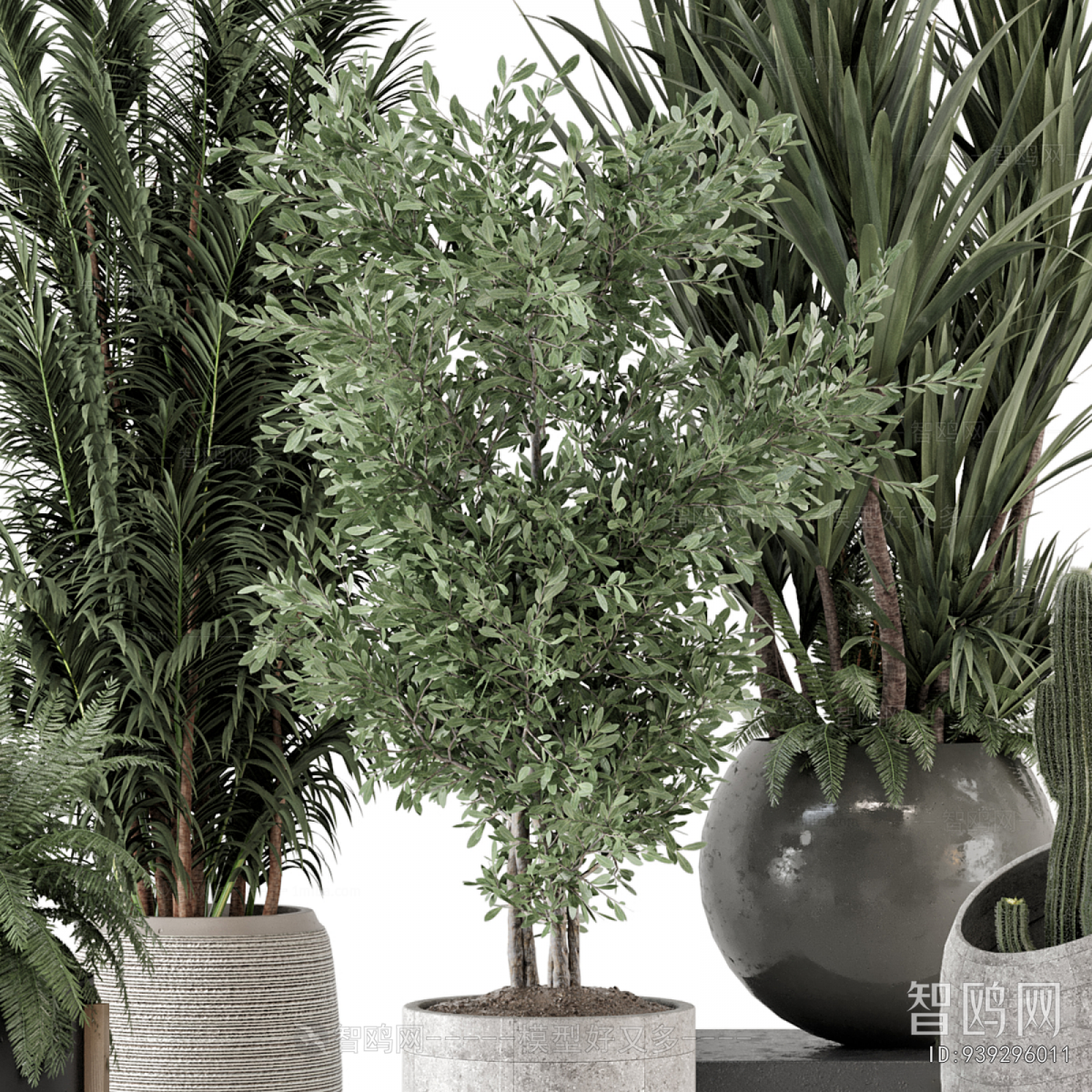 Modern Ground Green Plant Potted Plants