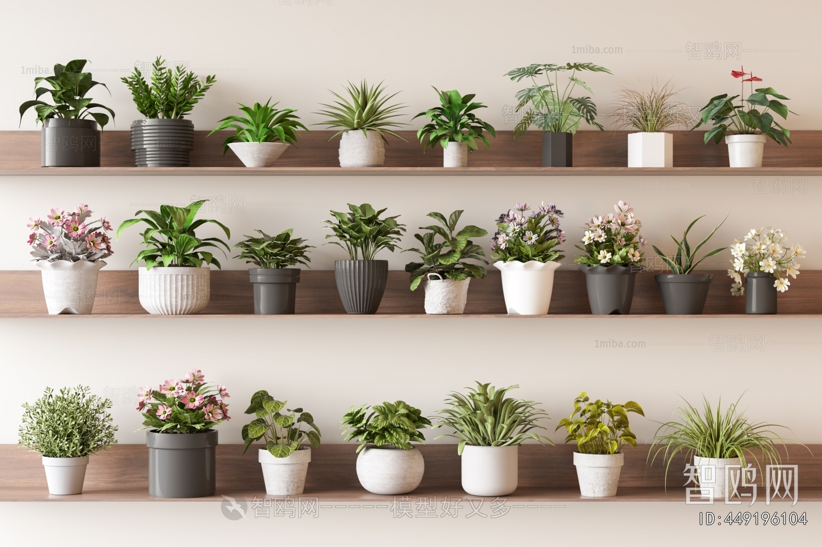 Modern Desktop Plant